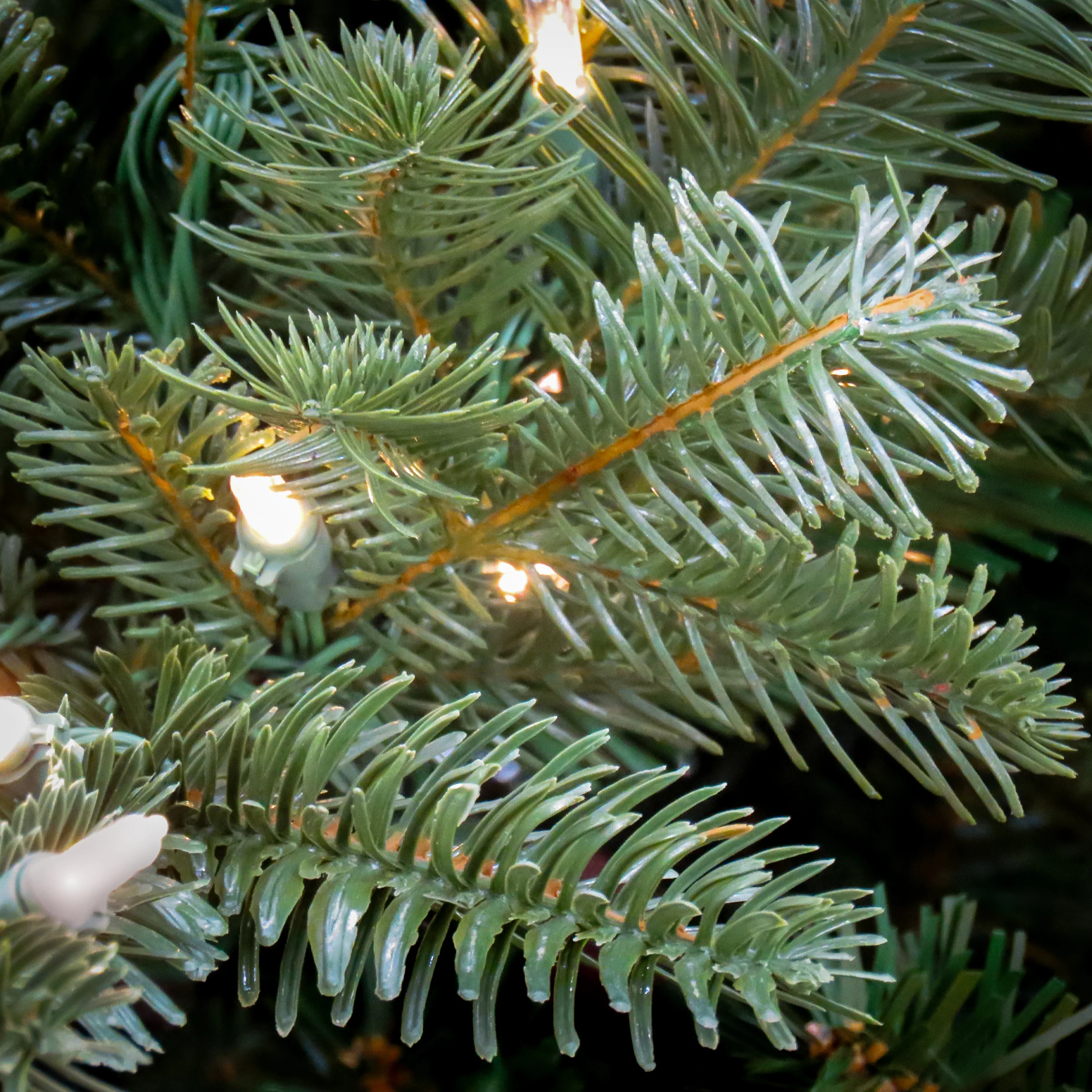 10 ft. Pre-Lit Douglas Fir Hinged Tree with Warm White LED Lights - Image 3
