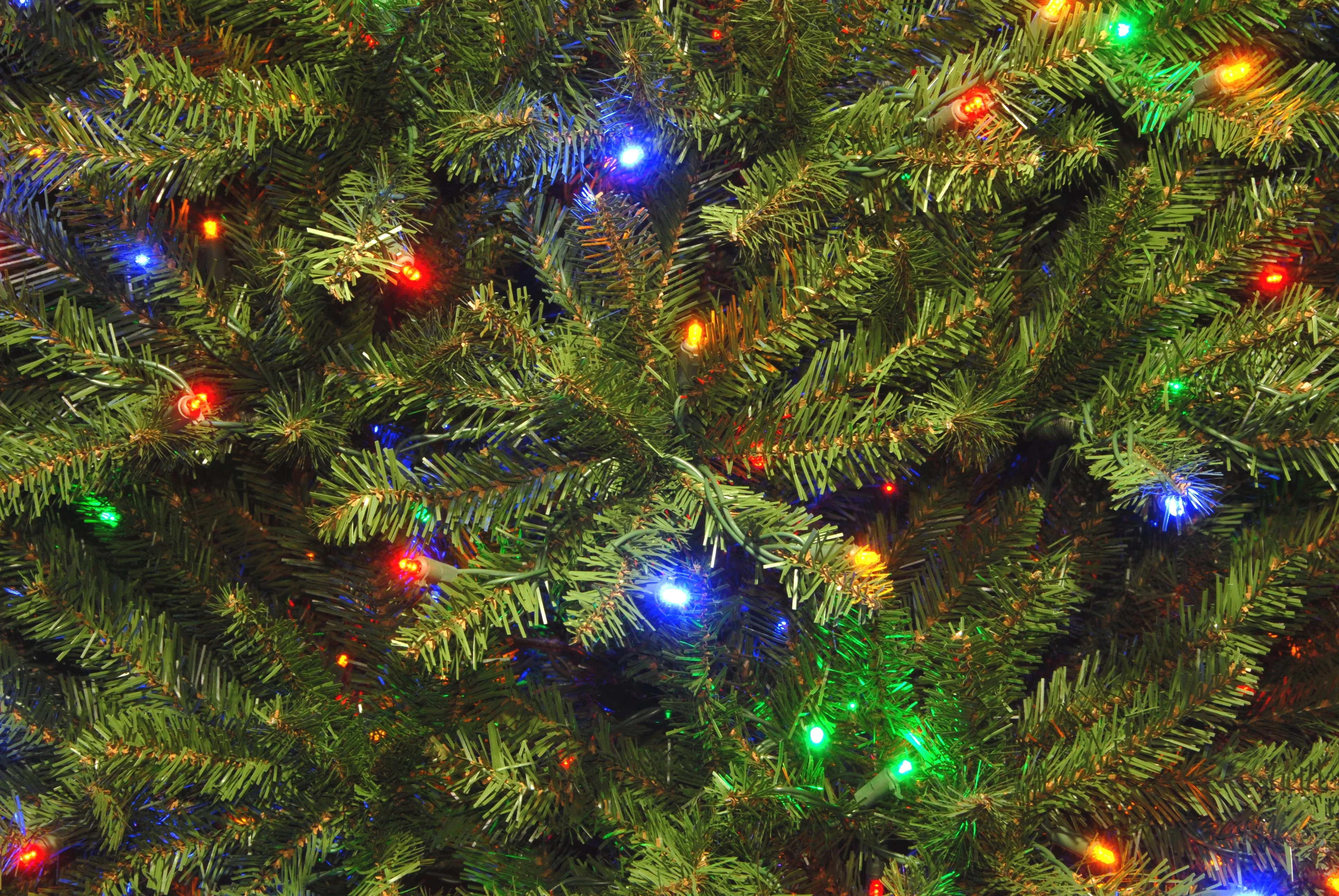 10 ft.Pre-Lit Dunhill Fir Tree with PowerConnect Dual Color LED Lights, Plug-In - Image 4