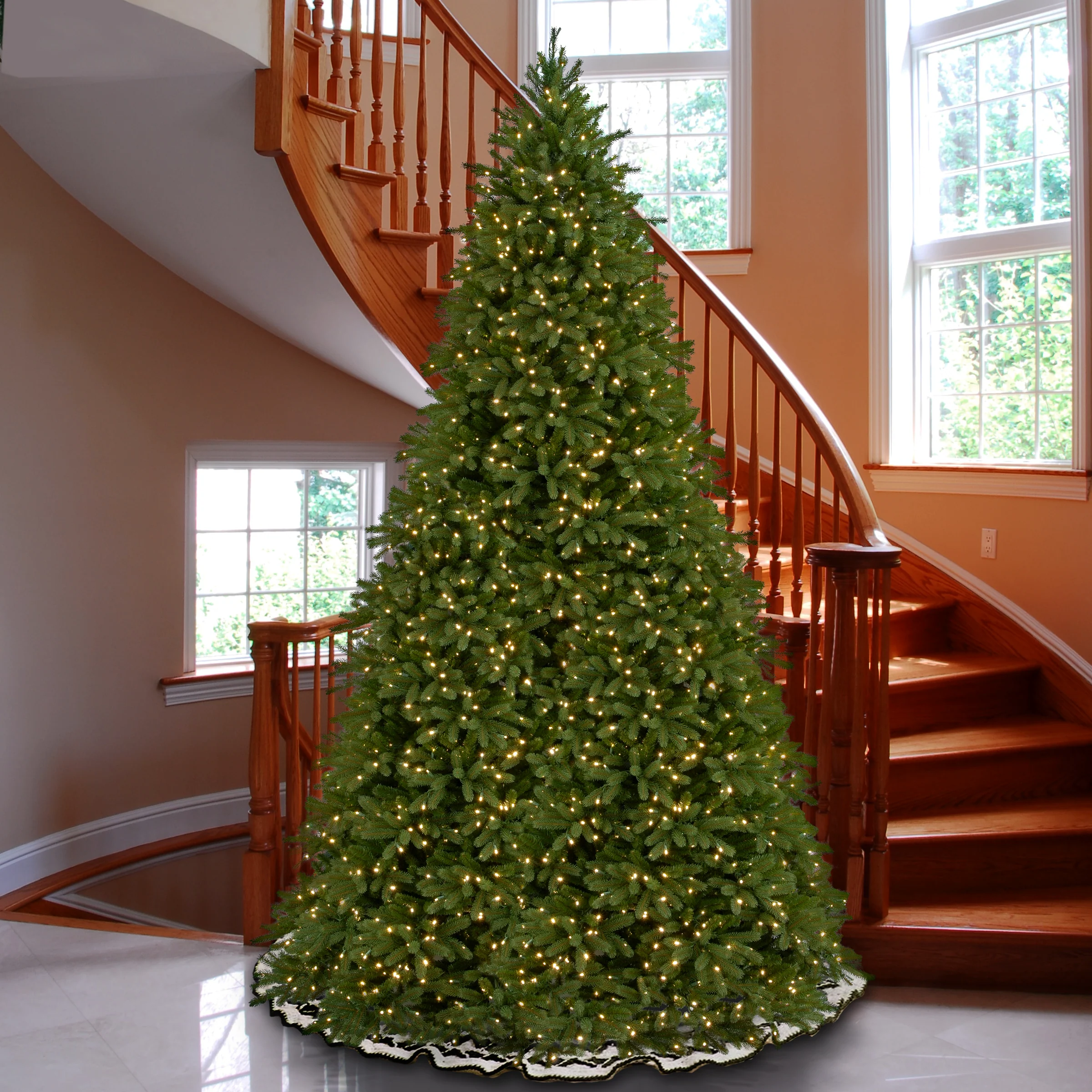 12 ft. Pre-Lit Jersey Fraser Fir Tree with Clear Lights - Image 2