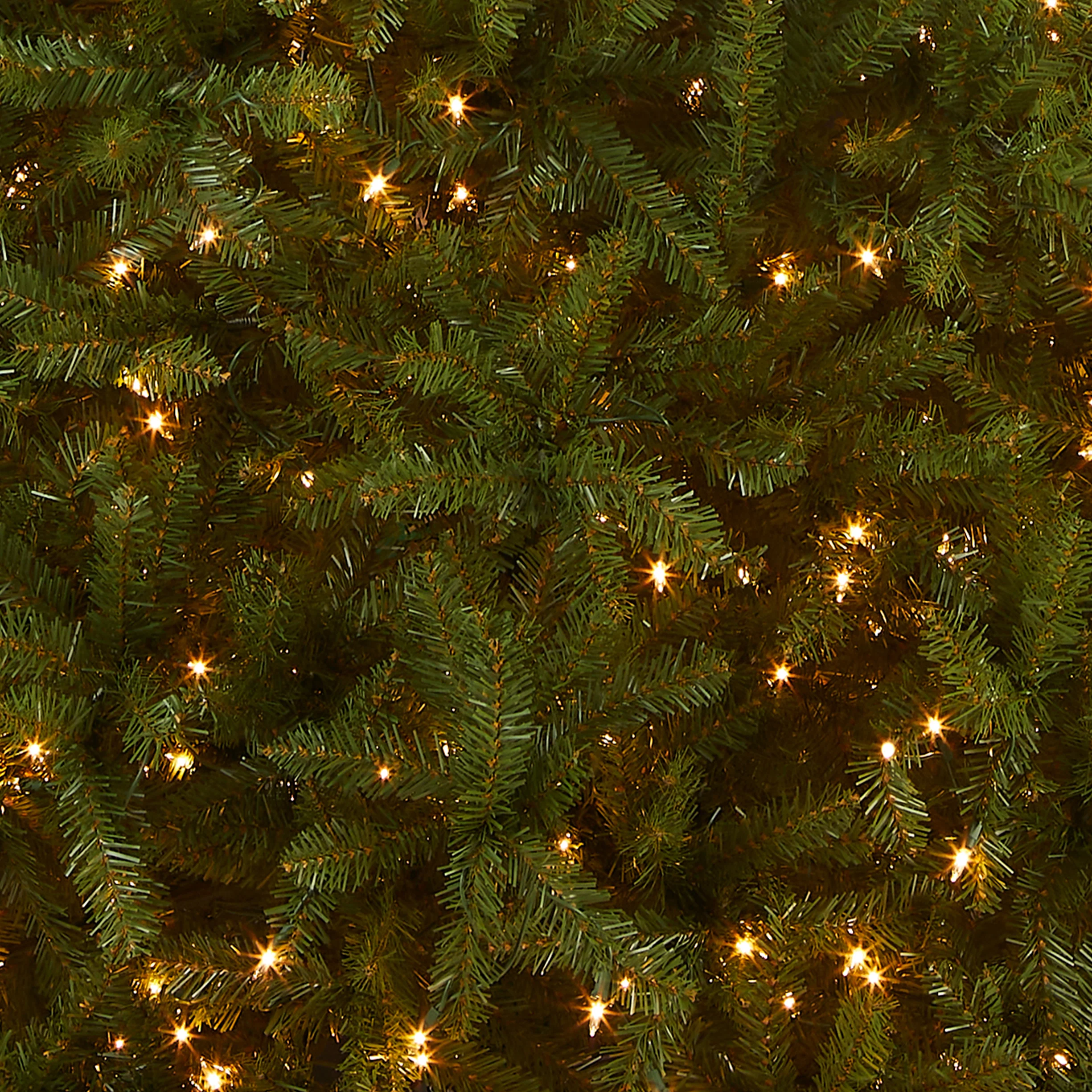 12 ft. Pre-Lit Dunhill Fir Tree with Clear Lights, Plug-In - Image 3