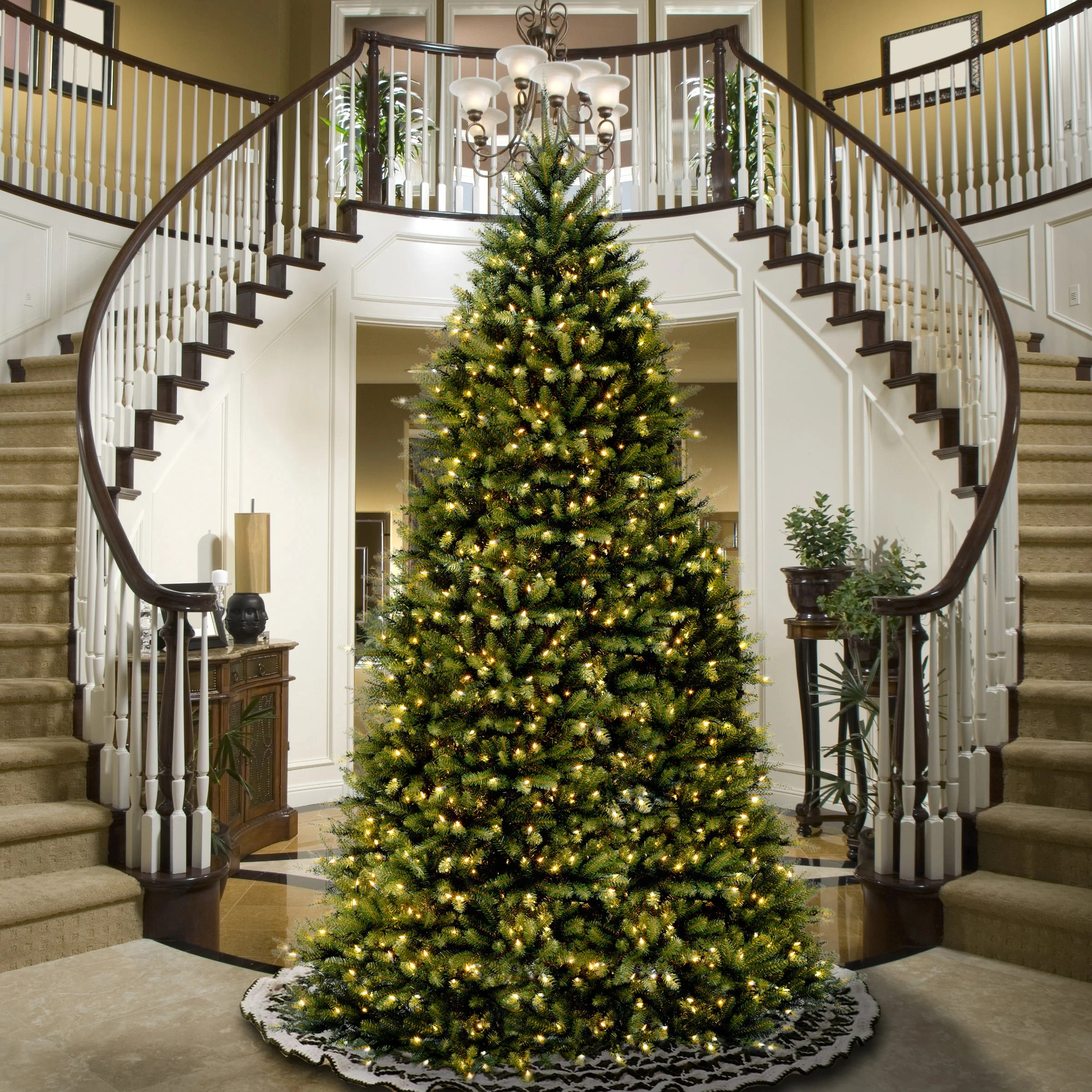 14 ft. Dunhill Fir Tree with Clear Lights - Image 2