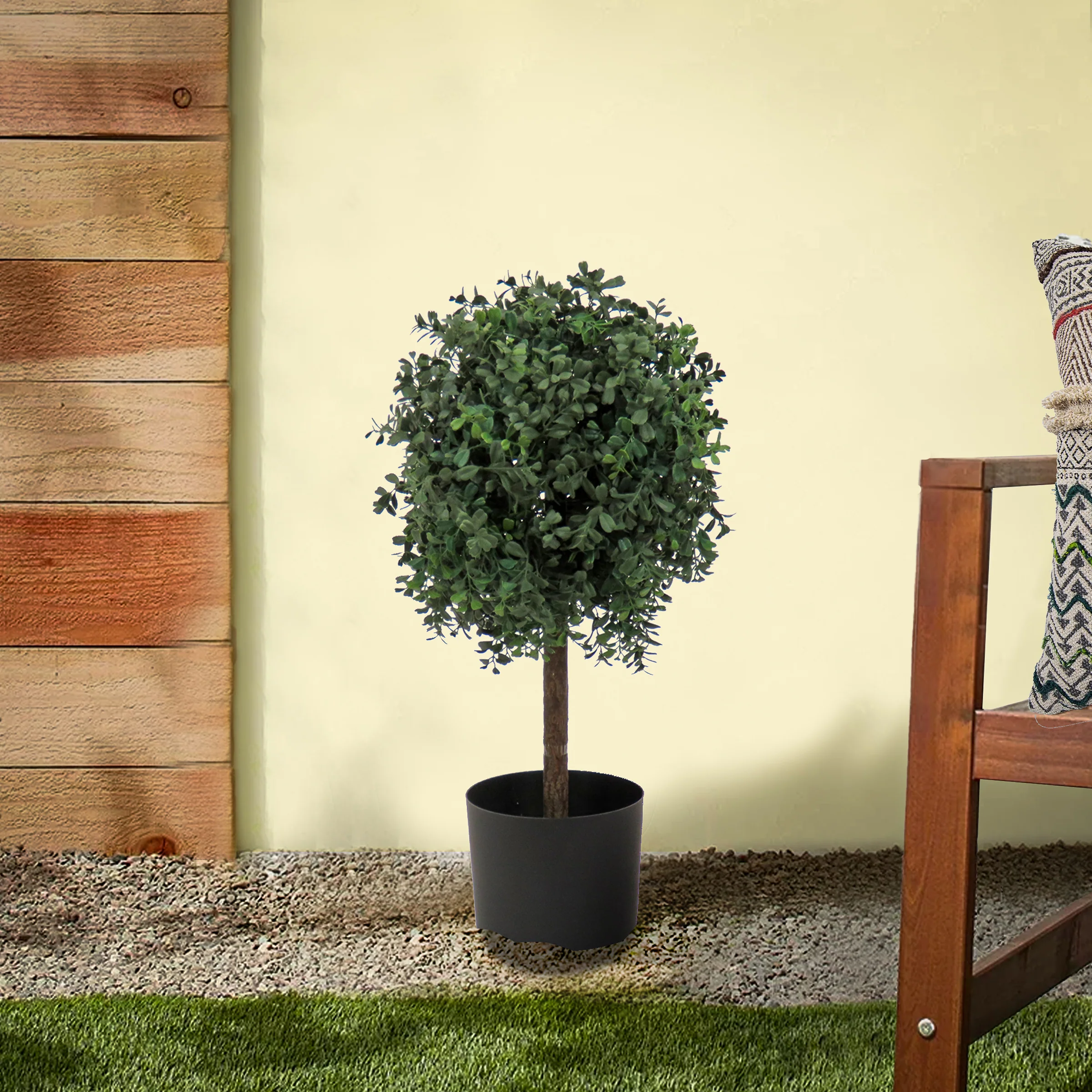 2 ft. Boxwood Single Ball Topiary in Nursery Pot - Image 2