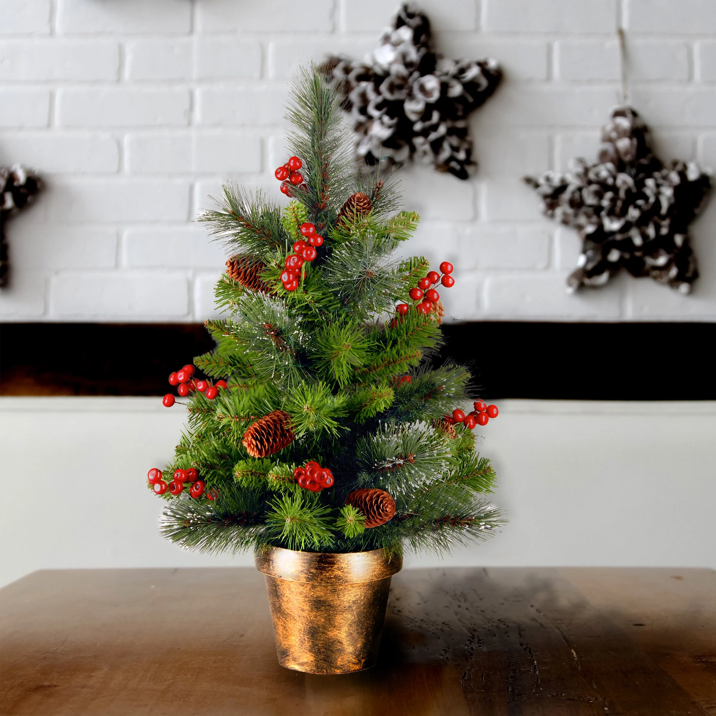 2 ft. Crestwood Spruce Tree - Image 4