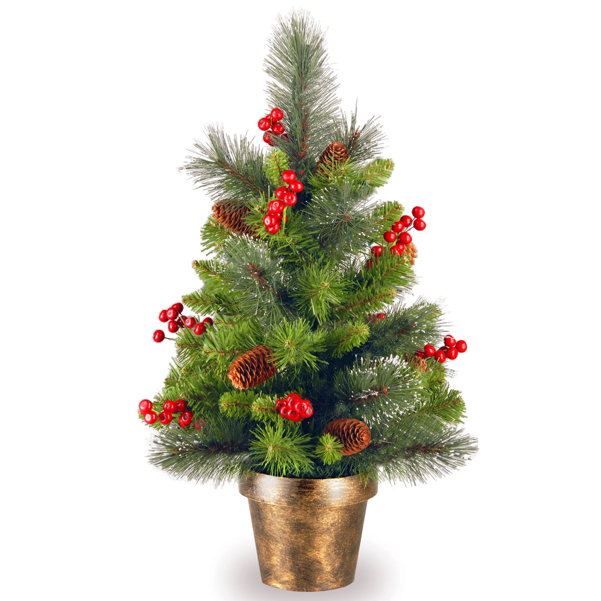 2 ft. Crestwood Spruce Tree - Image 5
