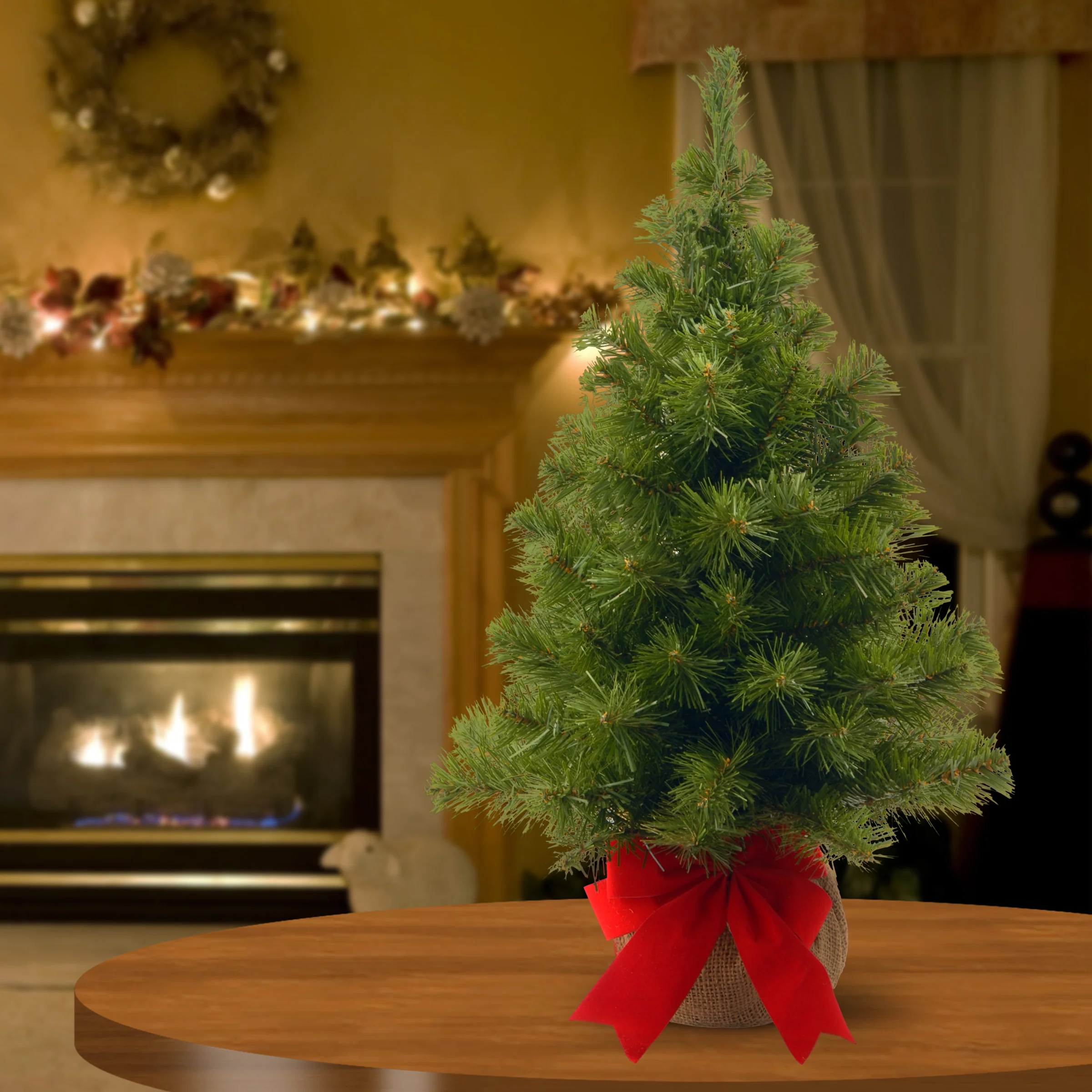 2 ft. Noble Spruce Tree - Image 2