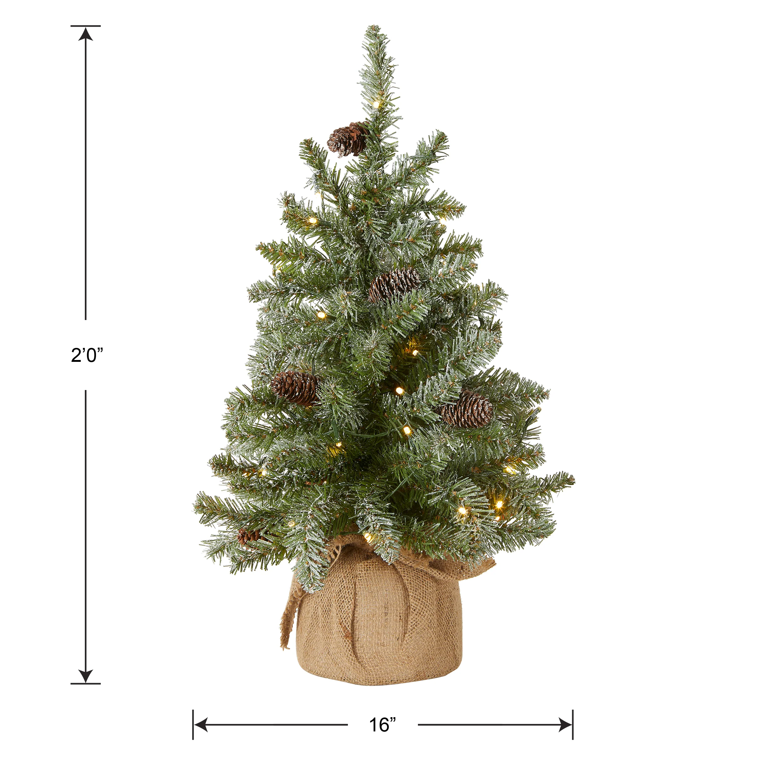 2 ft. Pre-Lit Snowy Concolor Fir Tree with LED Lights - Image 5