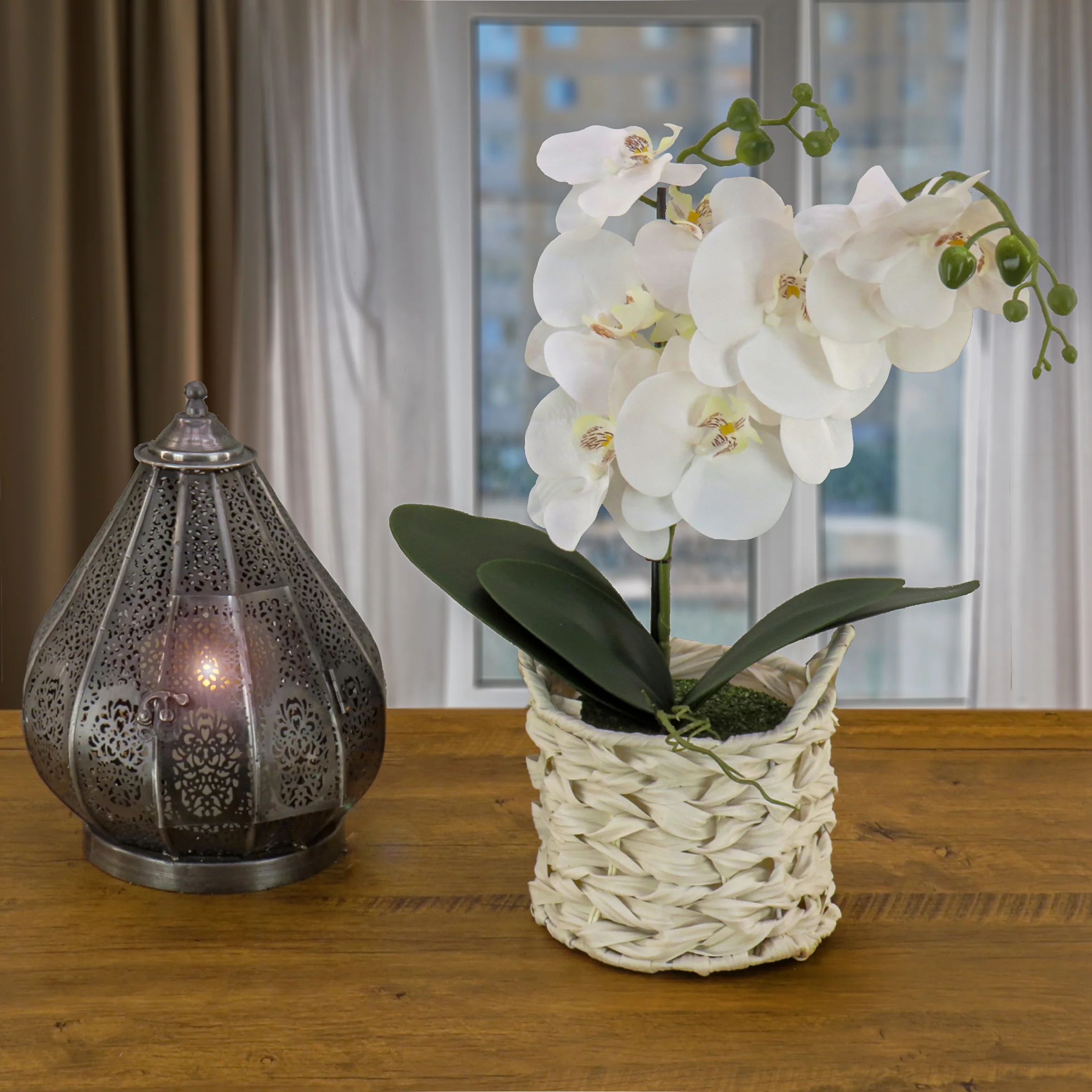21 in. Spring White Orchid in White Basket - Image 2