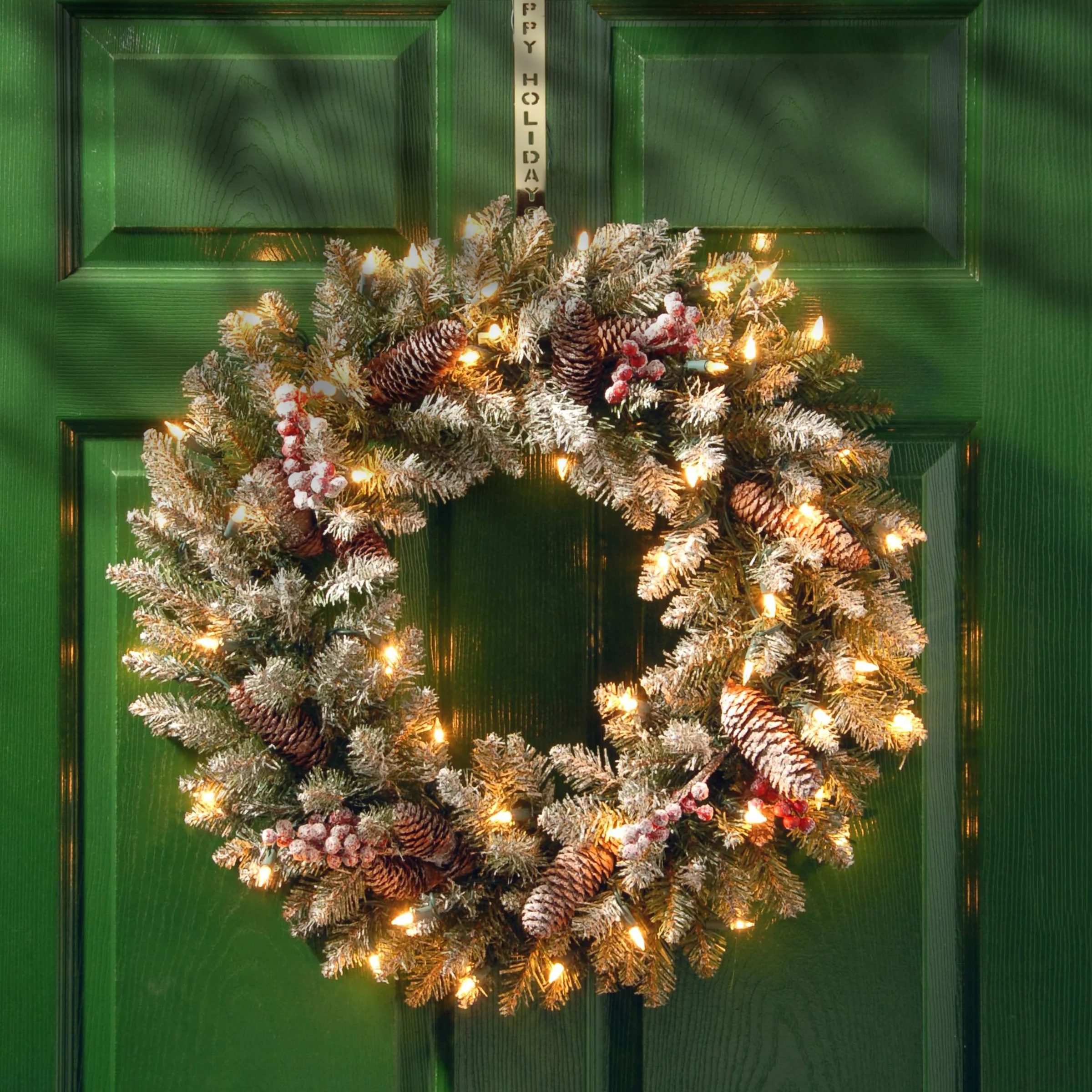 24 in. Pre-Lit Dunhill Fir Wreath with Clear Lights - Image 2