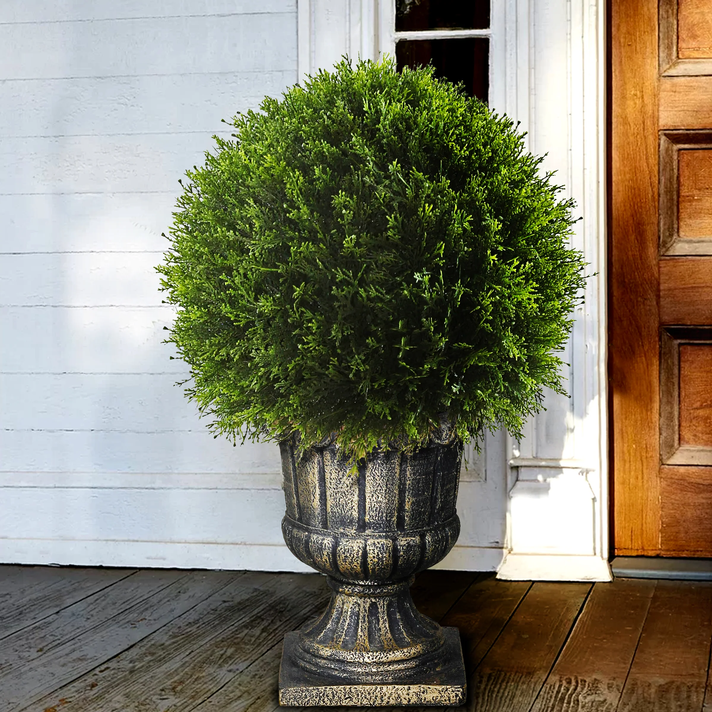 27 in. Upright Juniper Ball Topiary - Image 2