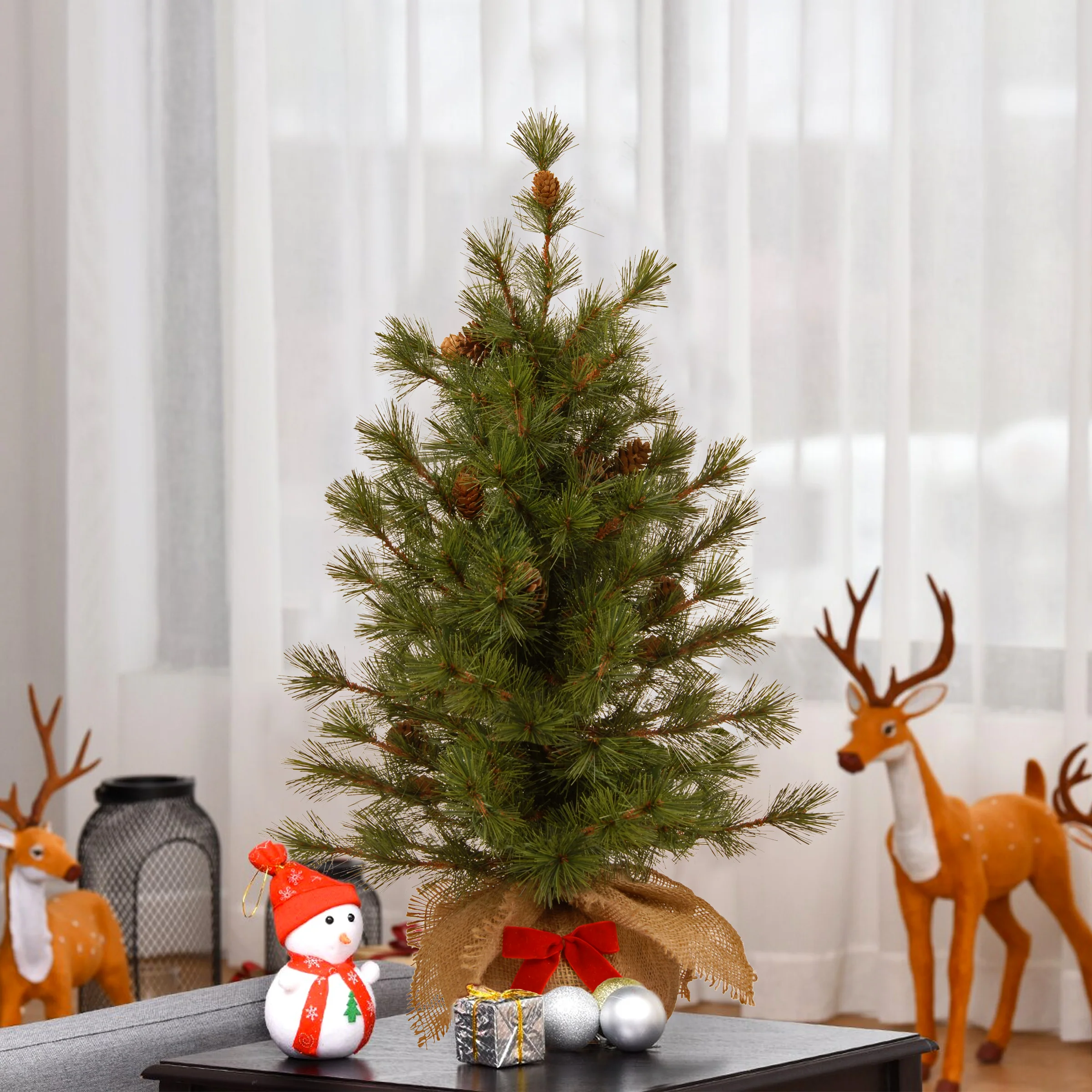 3 ft. Bristle Cone Pine Tree - Image 2