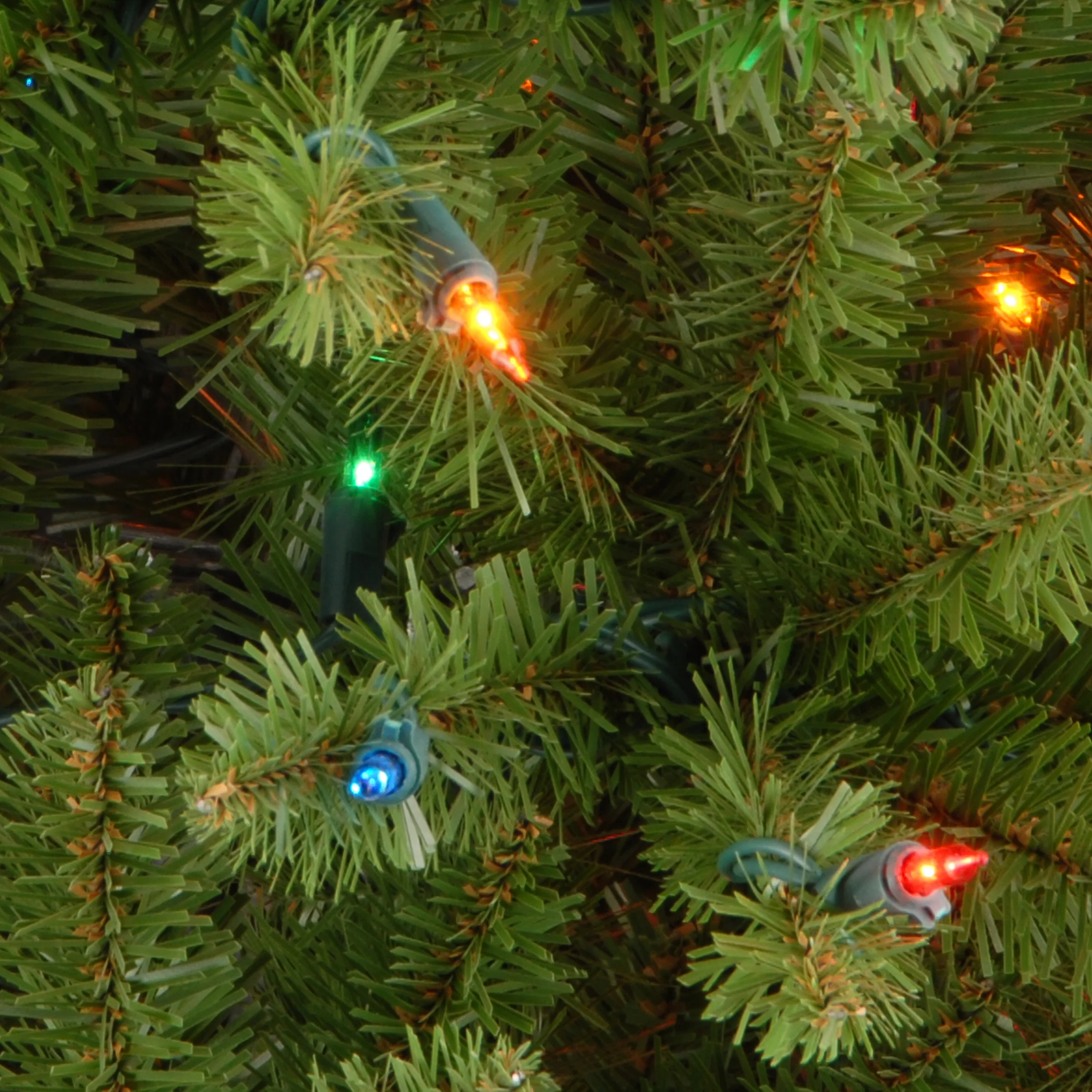 3 ft. Kingswood Fir Tree with Multicolor Lights - Image 3