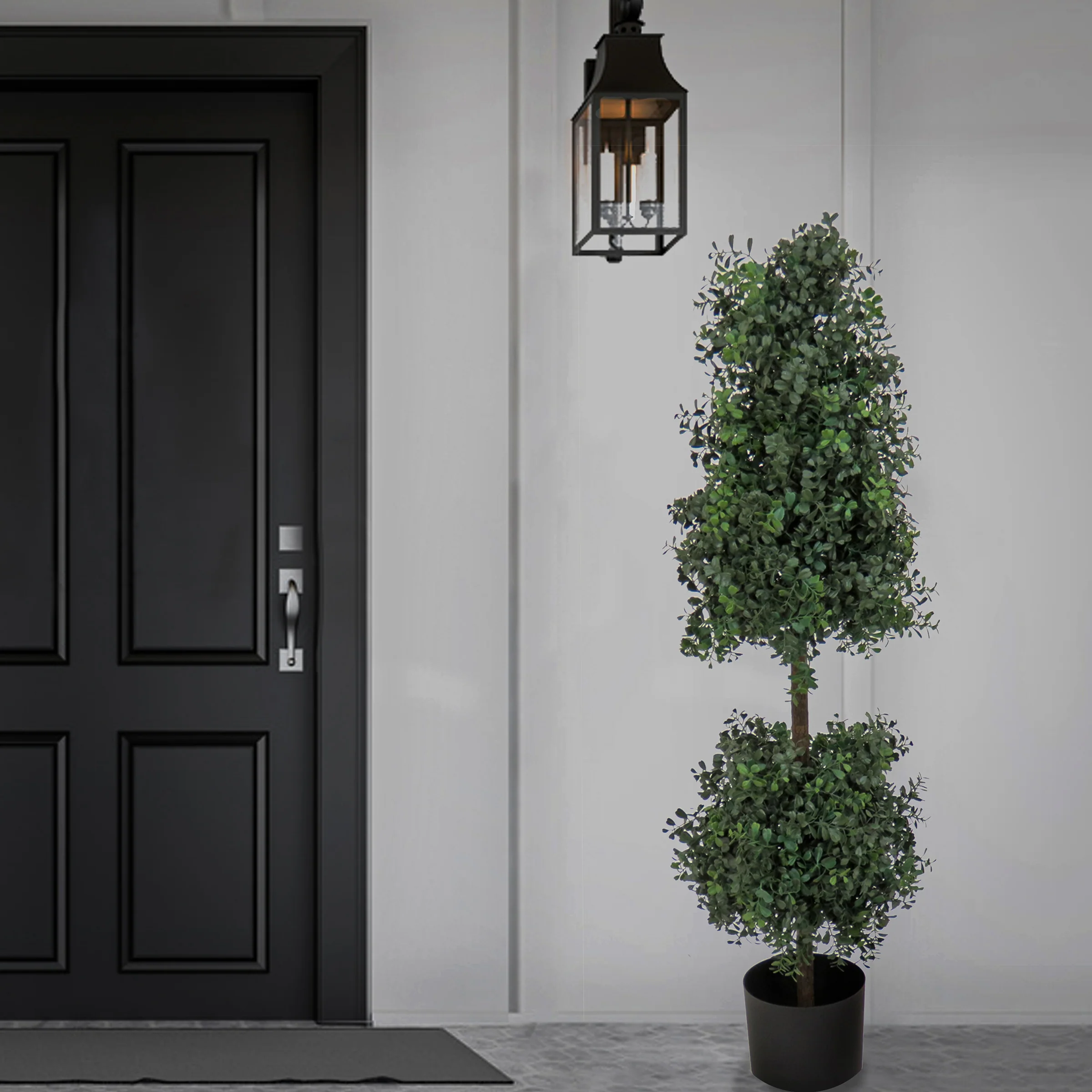 4 ft. Boxwood Cone and Ball Topiary in Nursery Pot - Image 2