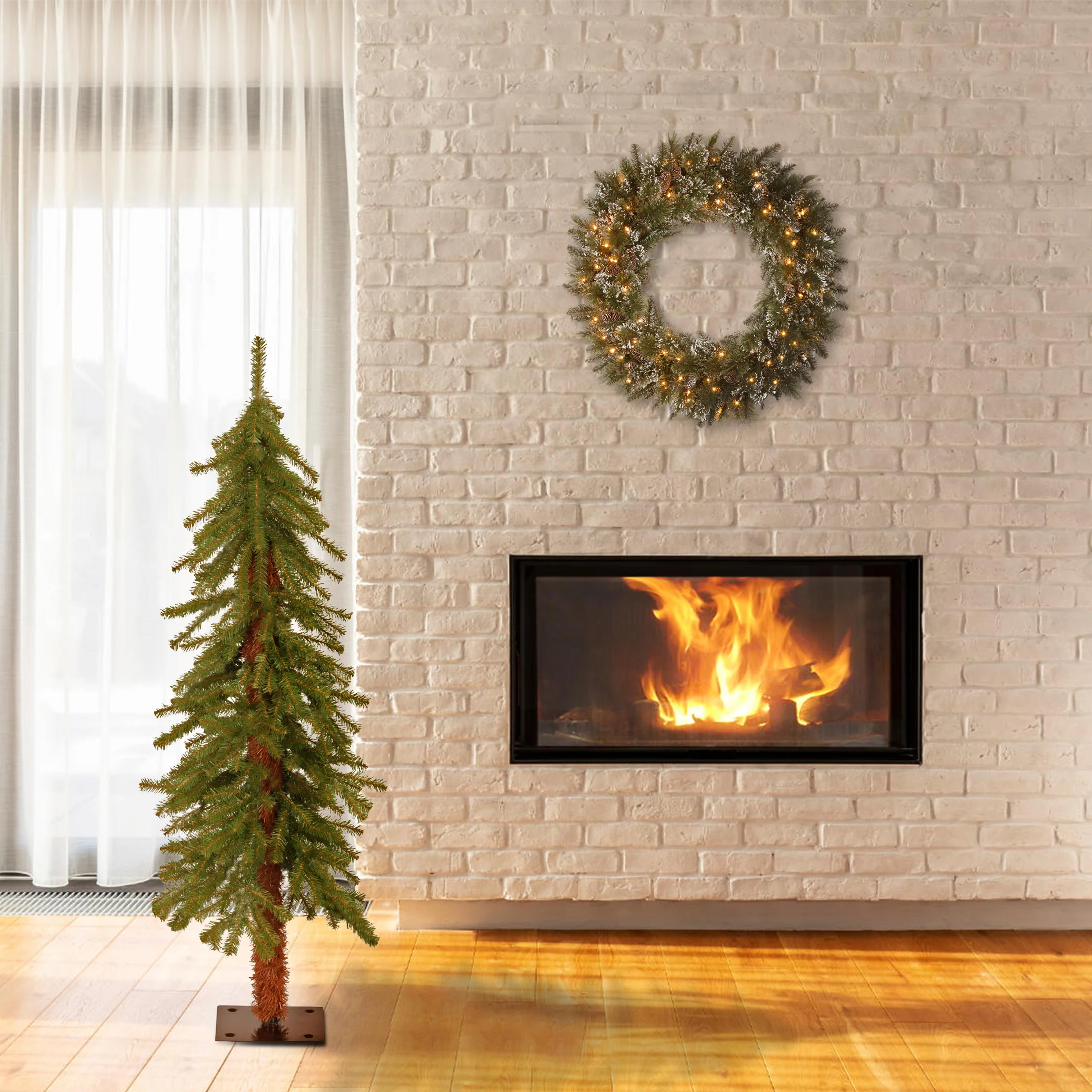 4 ft. Hickory Cedar Tree - Image 12