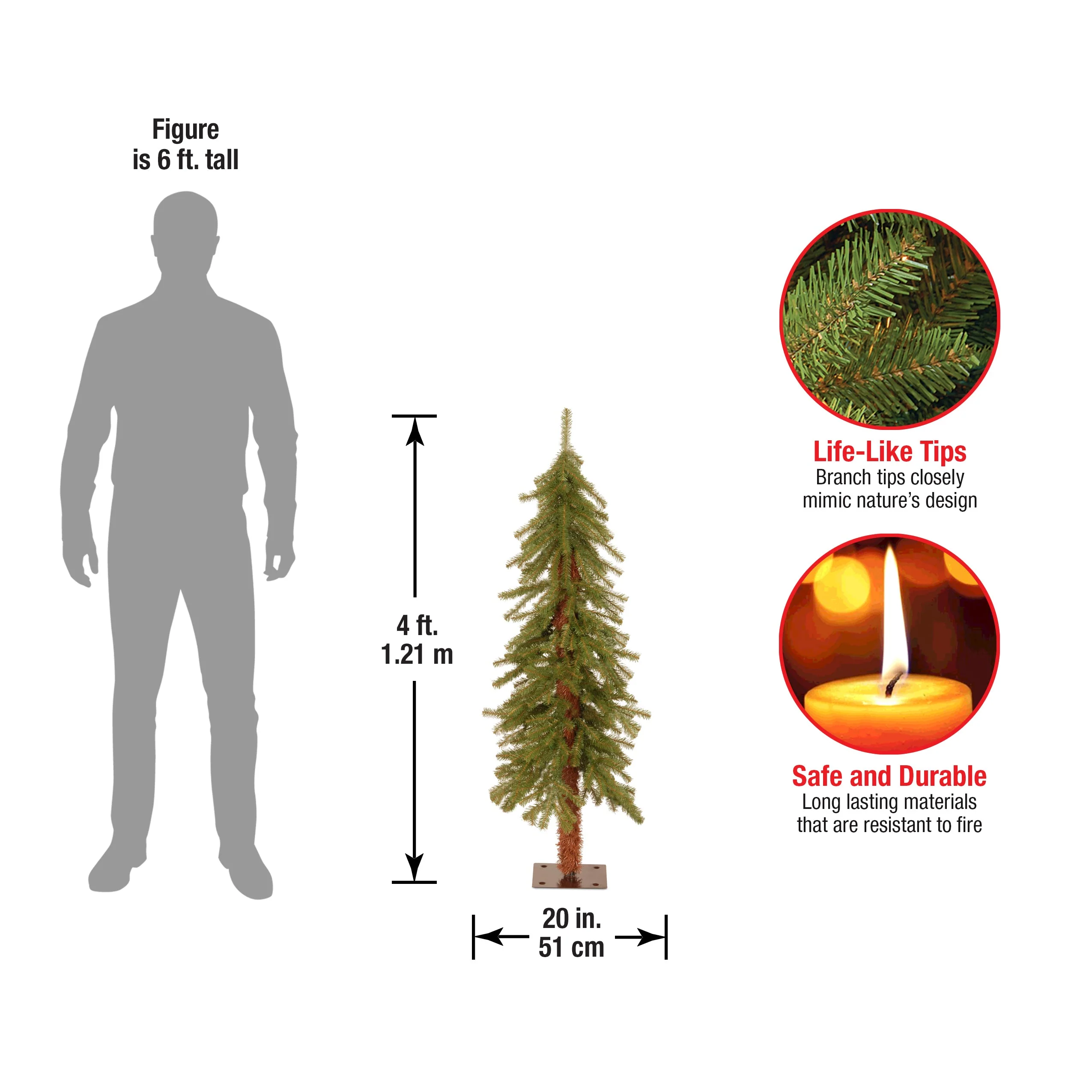 4 ft. Hickory Cedar Tree - Image 4