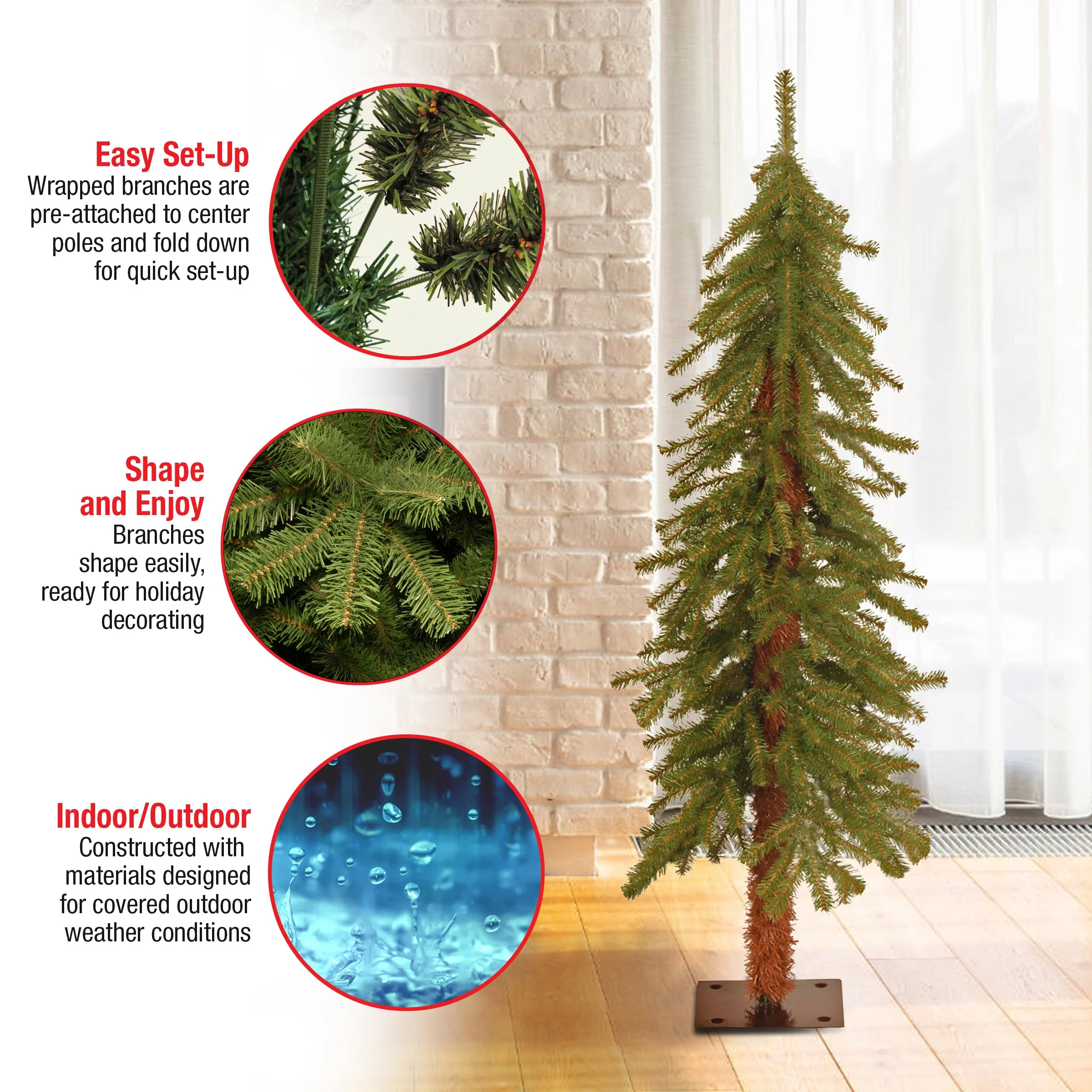 4 ft. Hickory Cedar Tree - Image 8