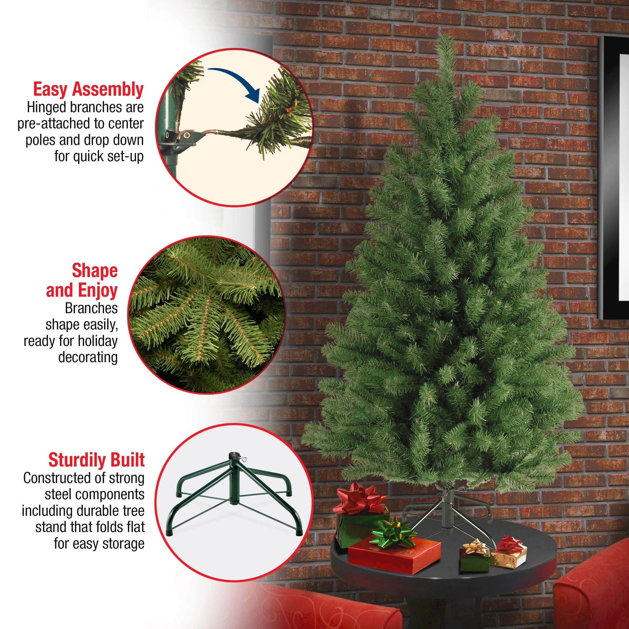 4 ft. North Valley Spruce Tree - Image 5