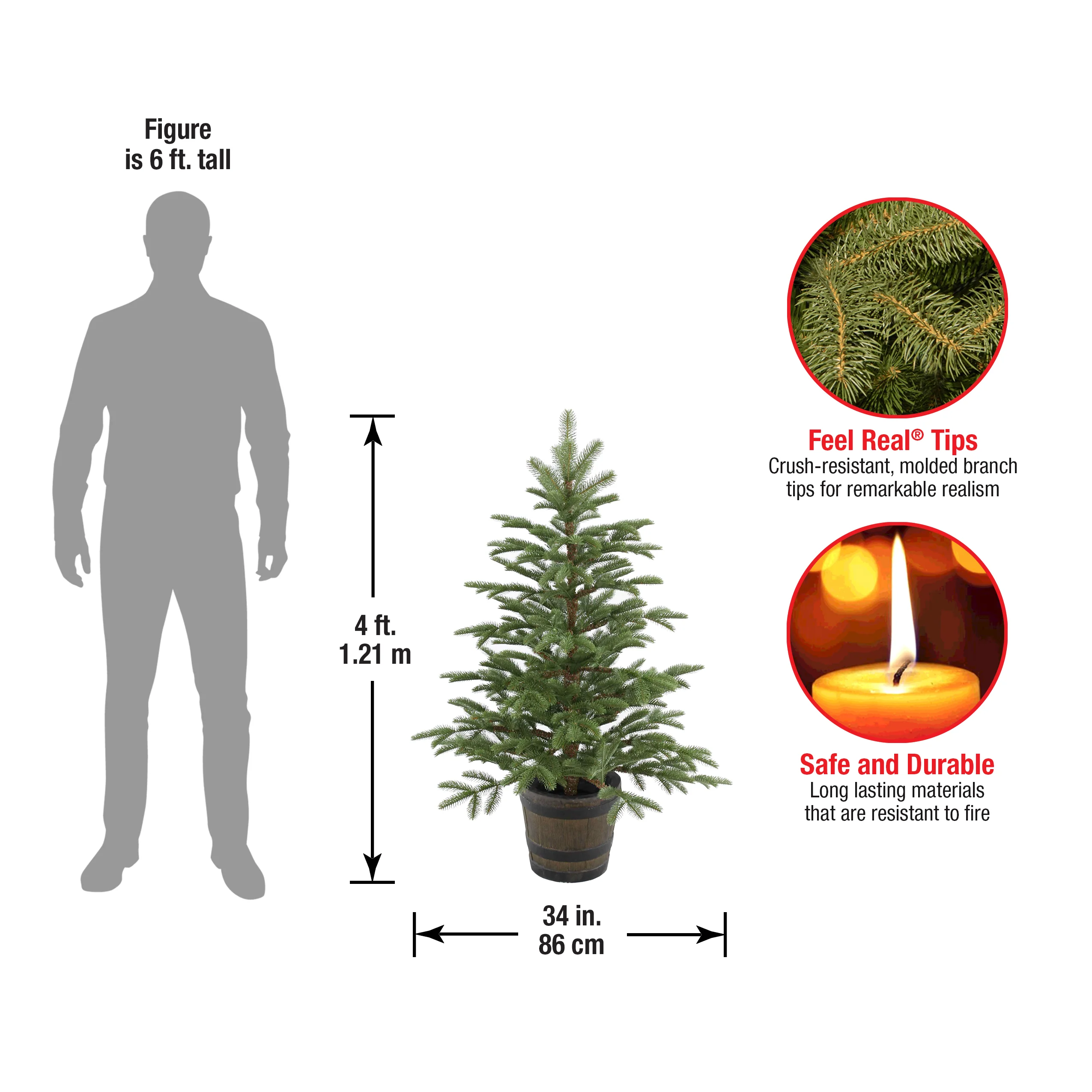 4 ft. Norwegian Spruce Tree - Image 4