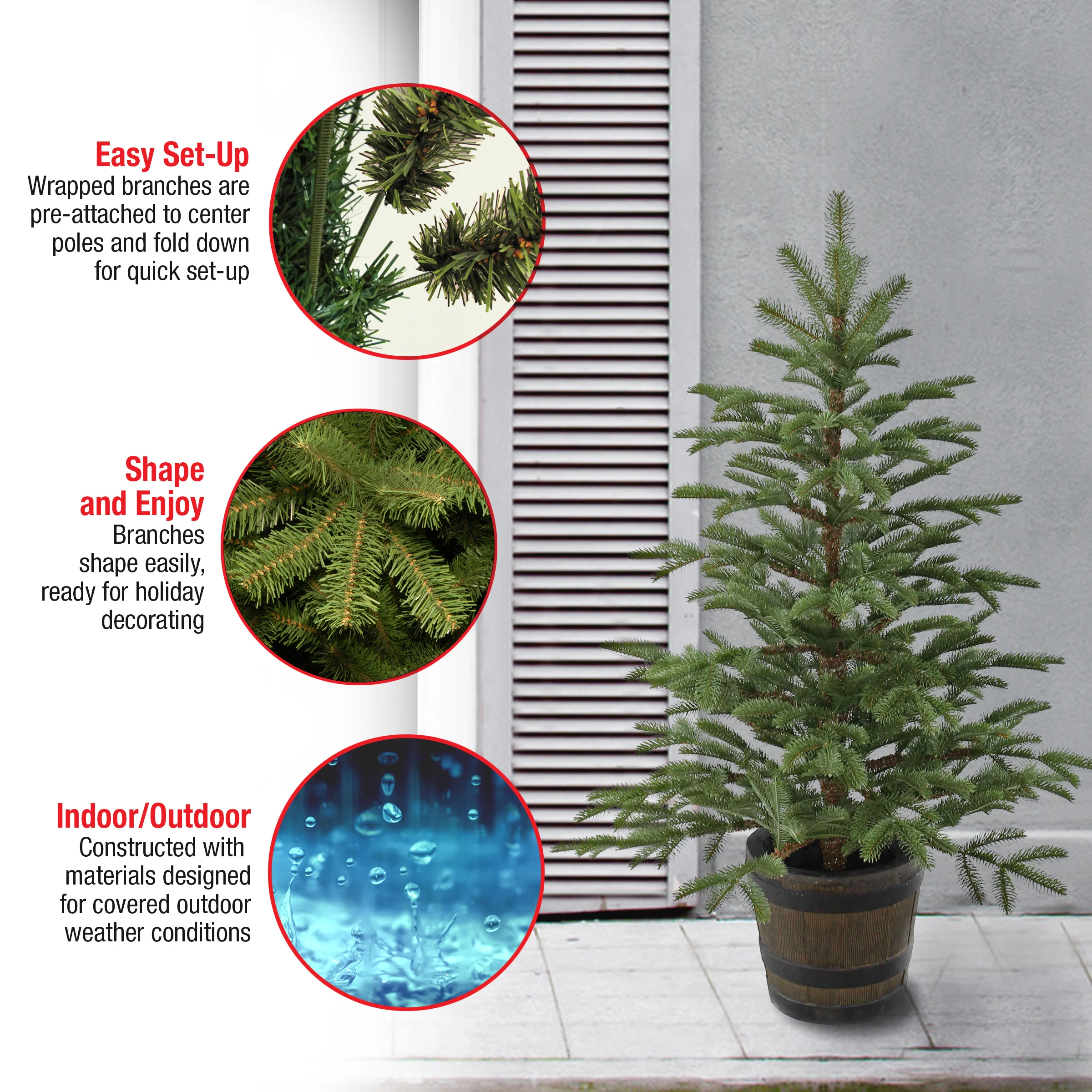 4 ft. Norwegian Spruce Tree - Image 5