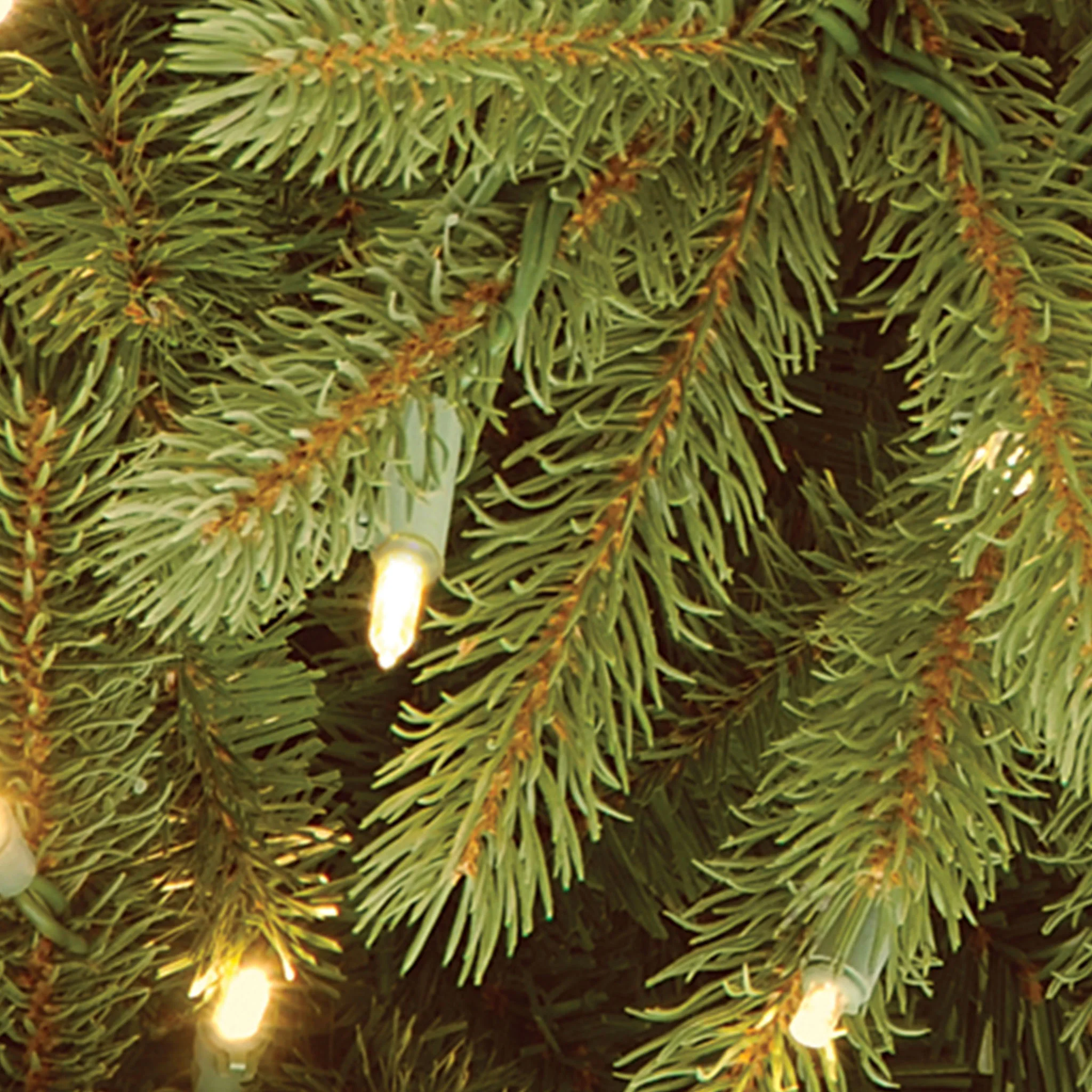 4 ft. Pre-Lit Jersey Fraser Fir Tree with Clear Lights - Image 3