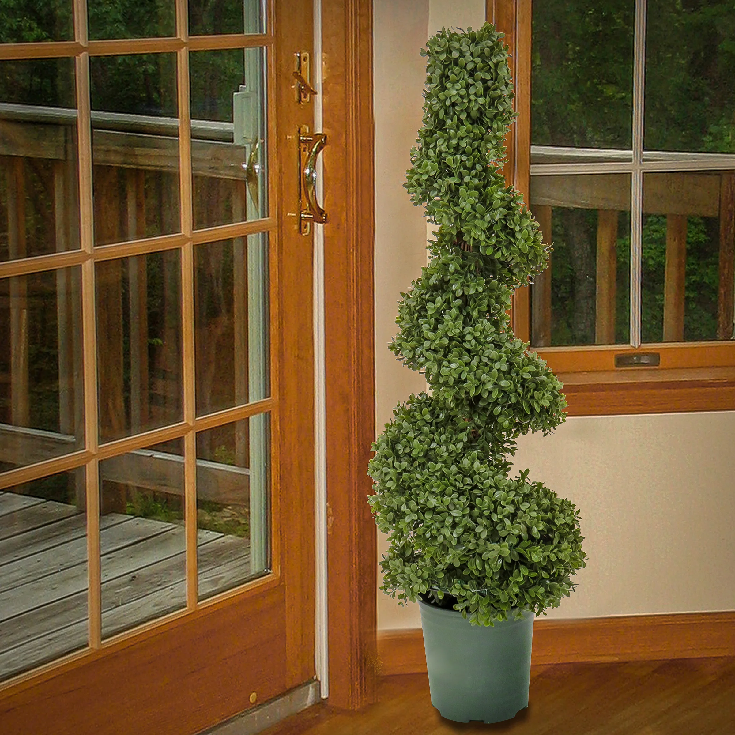 44 in. Boxwood Spiral Topiary - Image 2