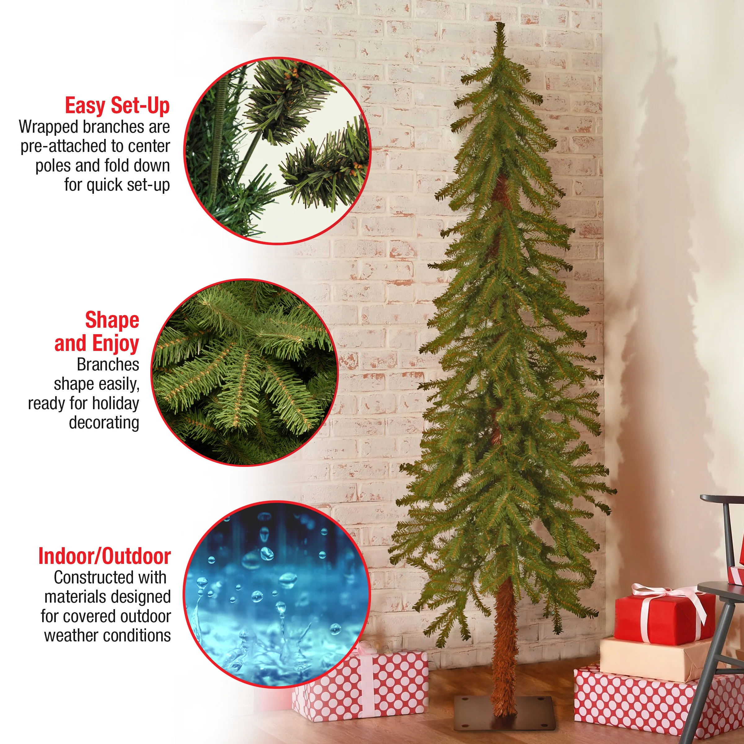 5 ft. Hickory Cedar Tree - Image 11