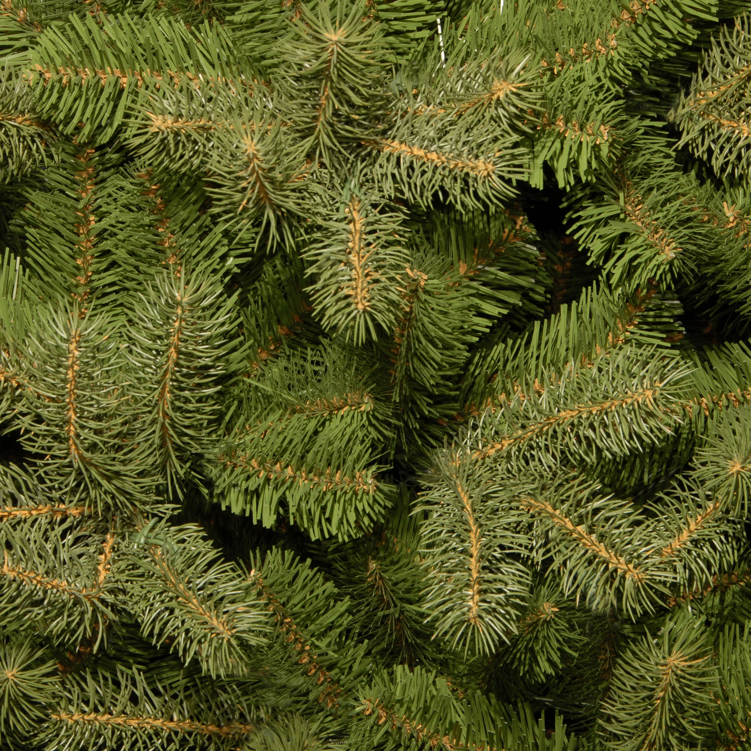 6.5 ft. Downswept Douglas Fir Tree - Image 4