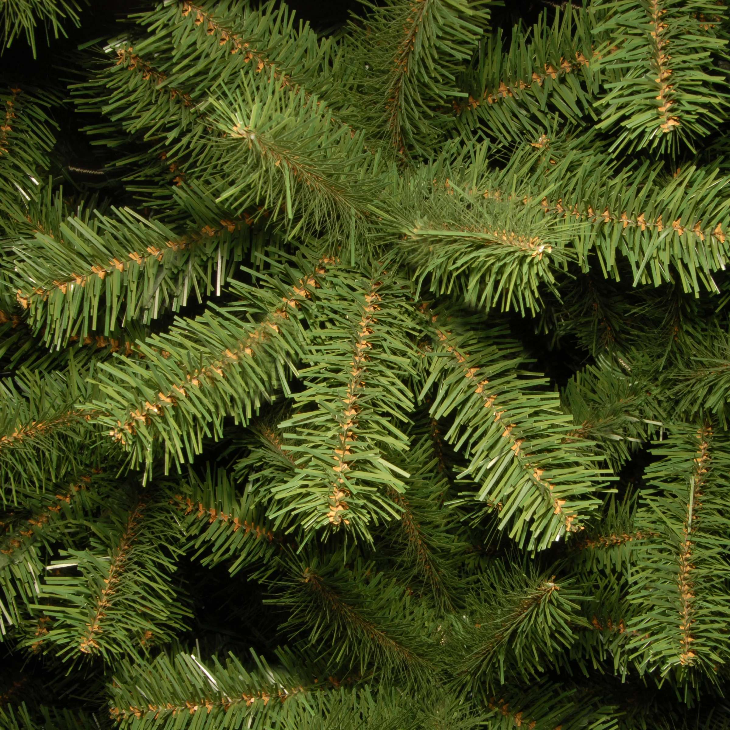 6.5 ft. North Valley Spruce Pencil Slim Tree - Image 3