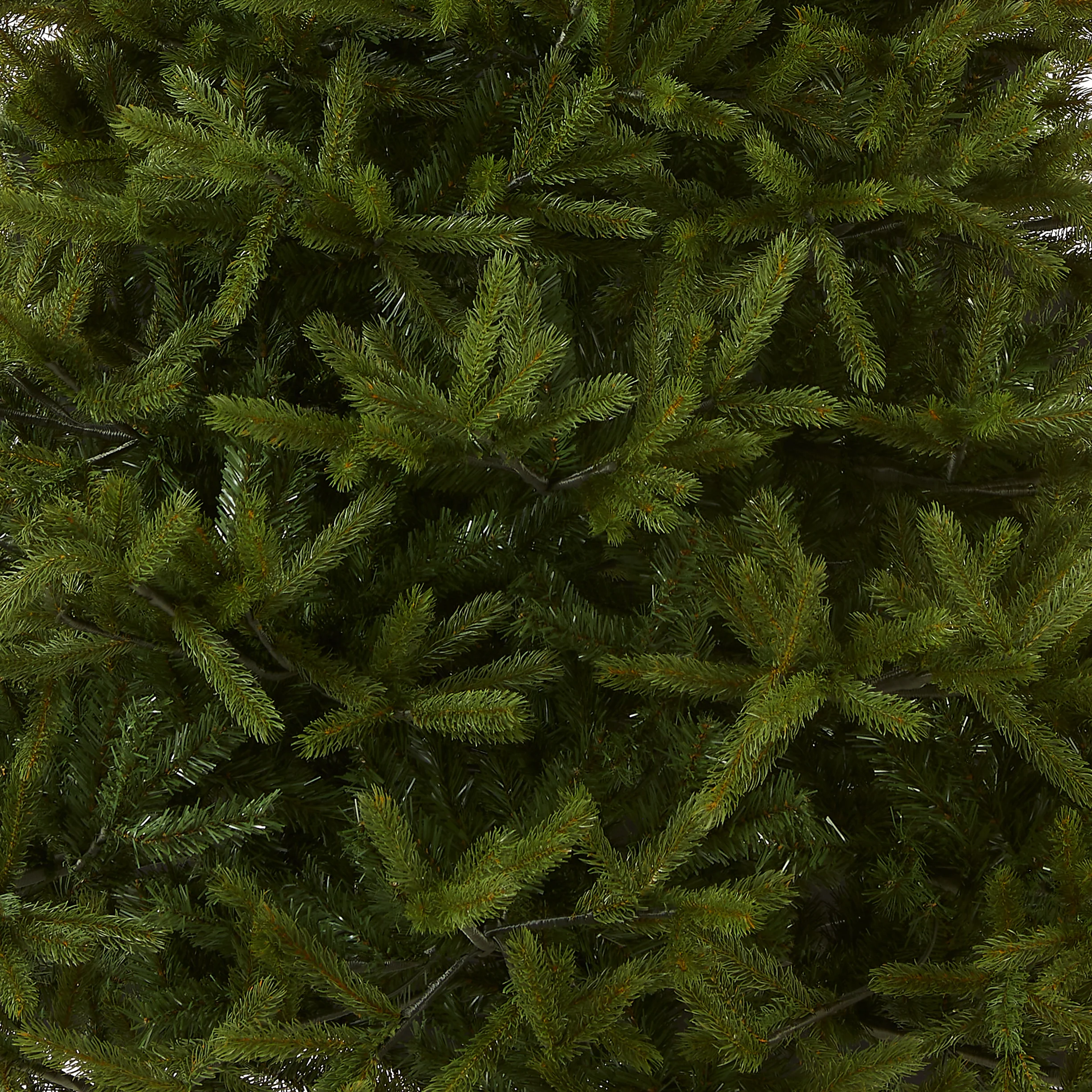 6.5 ft. Norway Fir Tree - Image 3