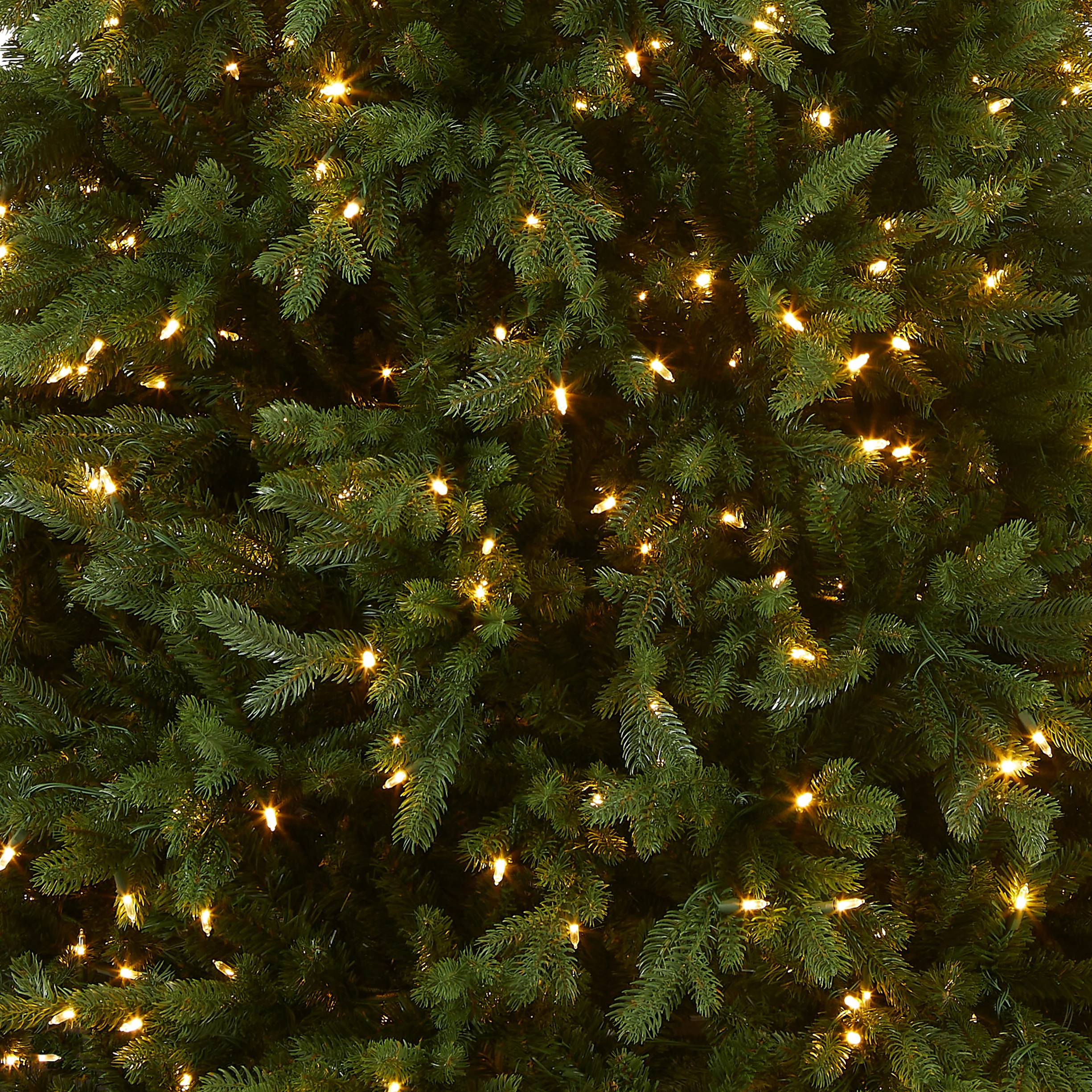 6.5 ft. Pre-Lit Princeton Fraser Fir Tree with  PowerConnect Dual Color LED Lights, Plug-In - Image 3