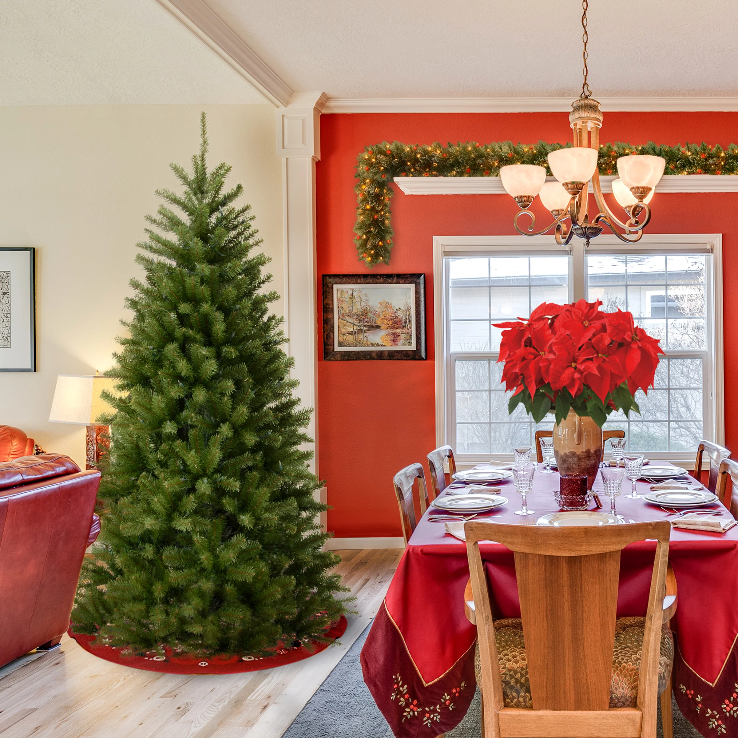 6 ft. North Valley Spruce Tree - Image 7