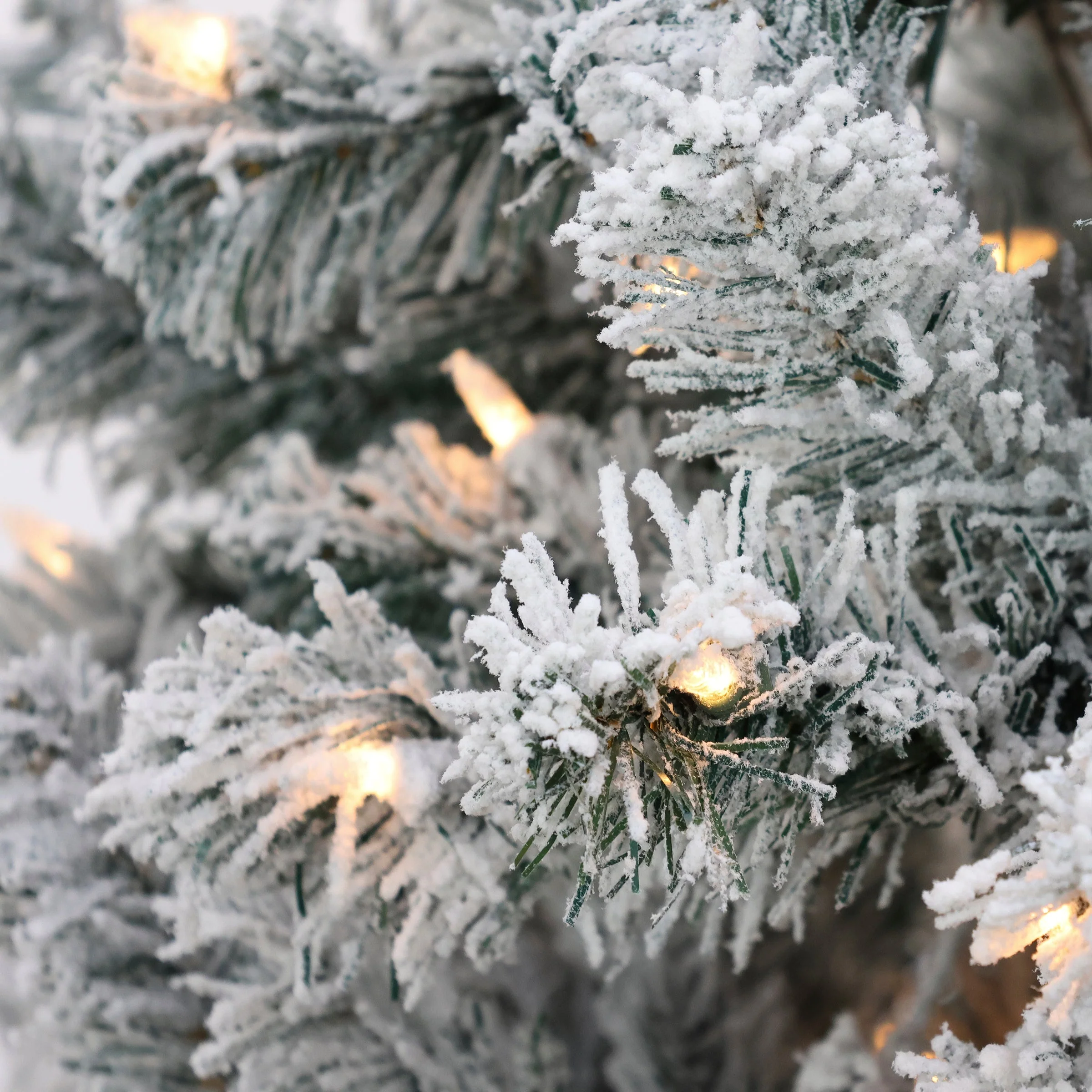 6 ft. Pre-Lit Acacia Flocked Tree with Clear Lights, Plug-In - Image 3