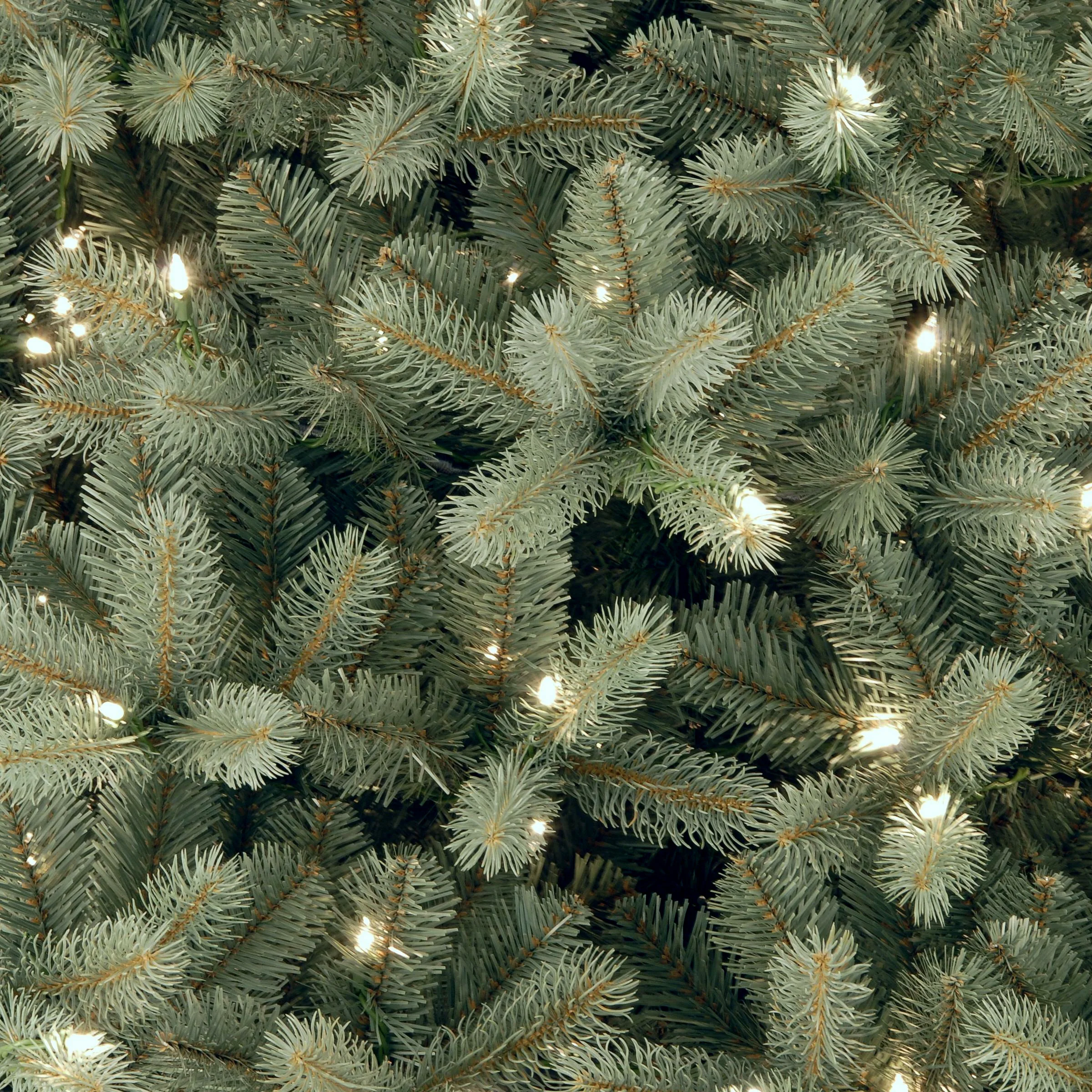 6 ft. Pre-Lit Downswept Douglas Blue Fir Tree with Clear Lights - Image 3