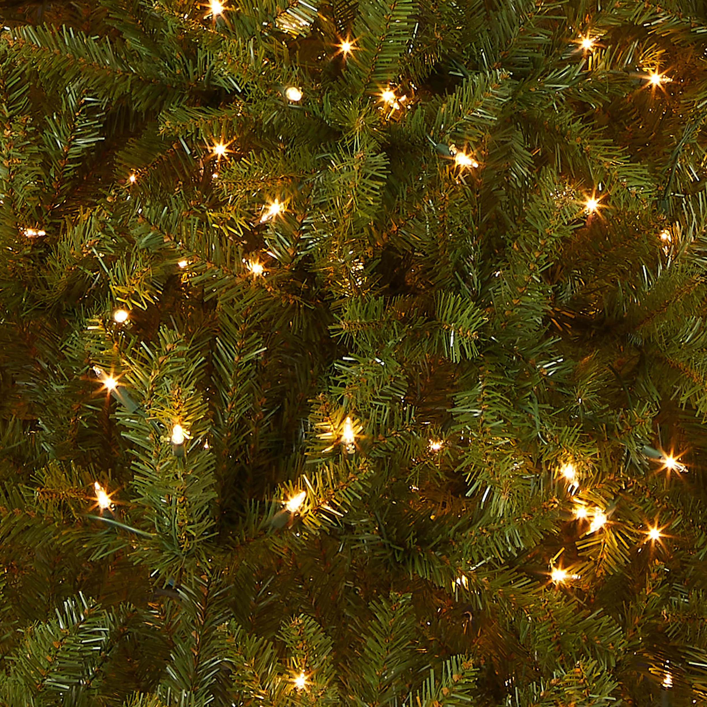 6 ft. Pre-Lit Dunhill Fir Tree with Clear Lights, Plug-In - Image 3