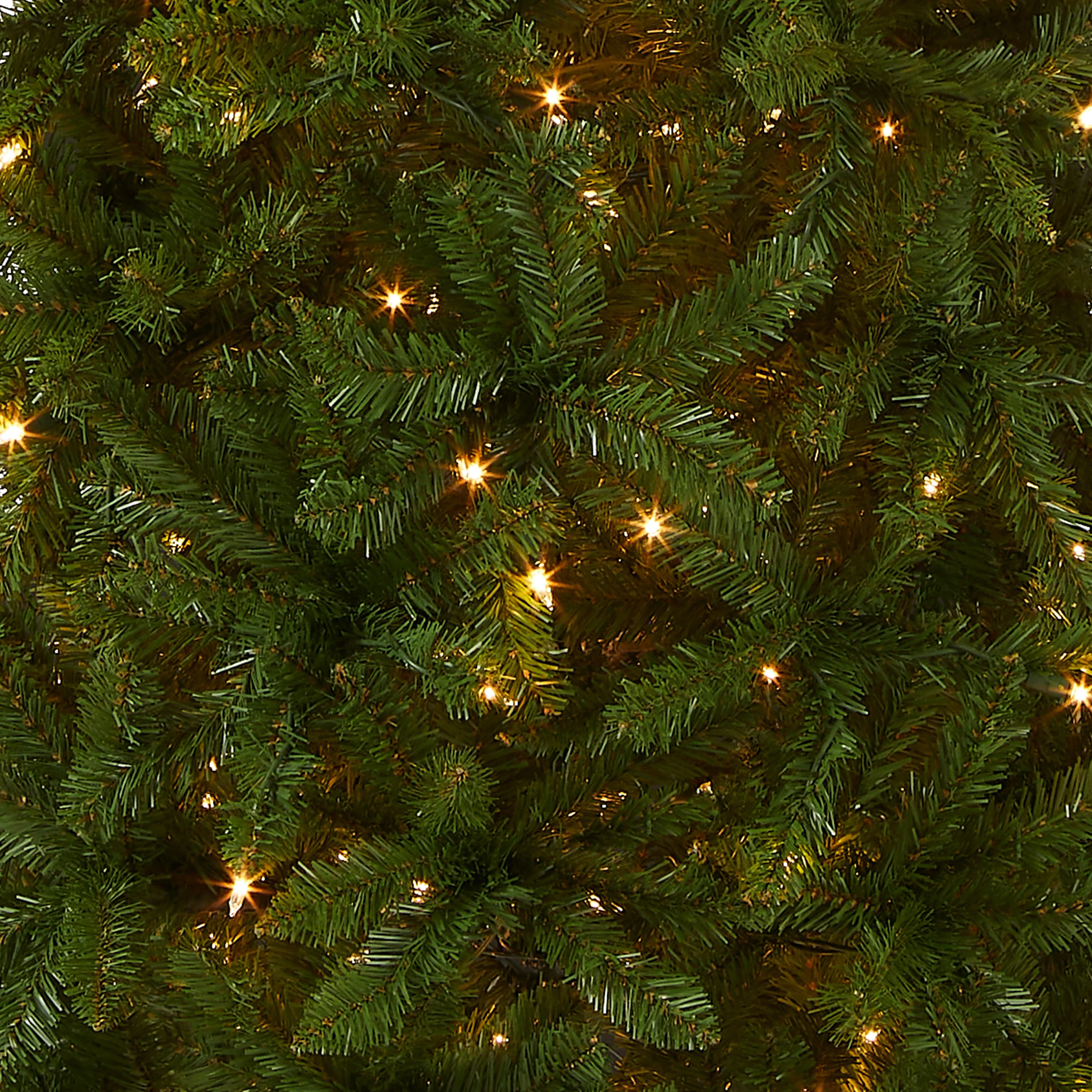 6 ft. Pre-Lit Kingswood Fir Pencil Tree with Clear Lights, Plug-In - Image 3