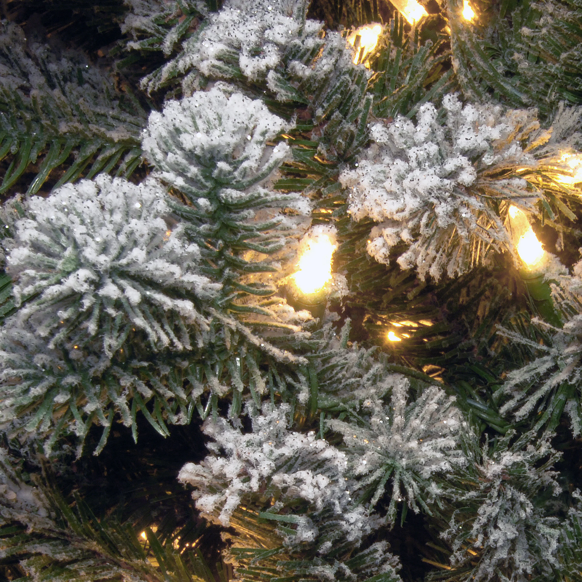 6 ft. Pre-Lit Snowy Sheffield Spruce Slim with Clear Lights - Image 4
