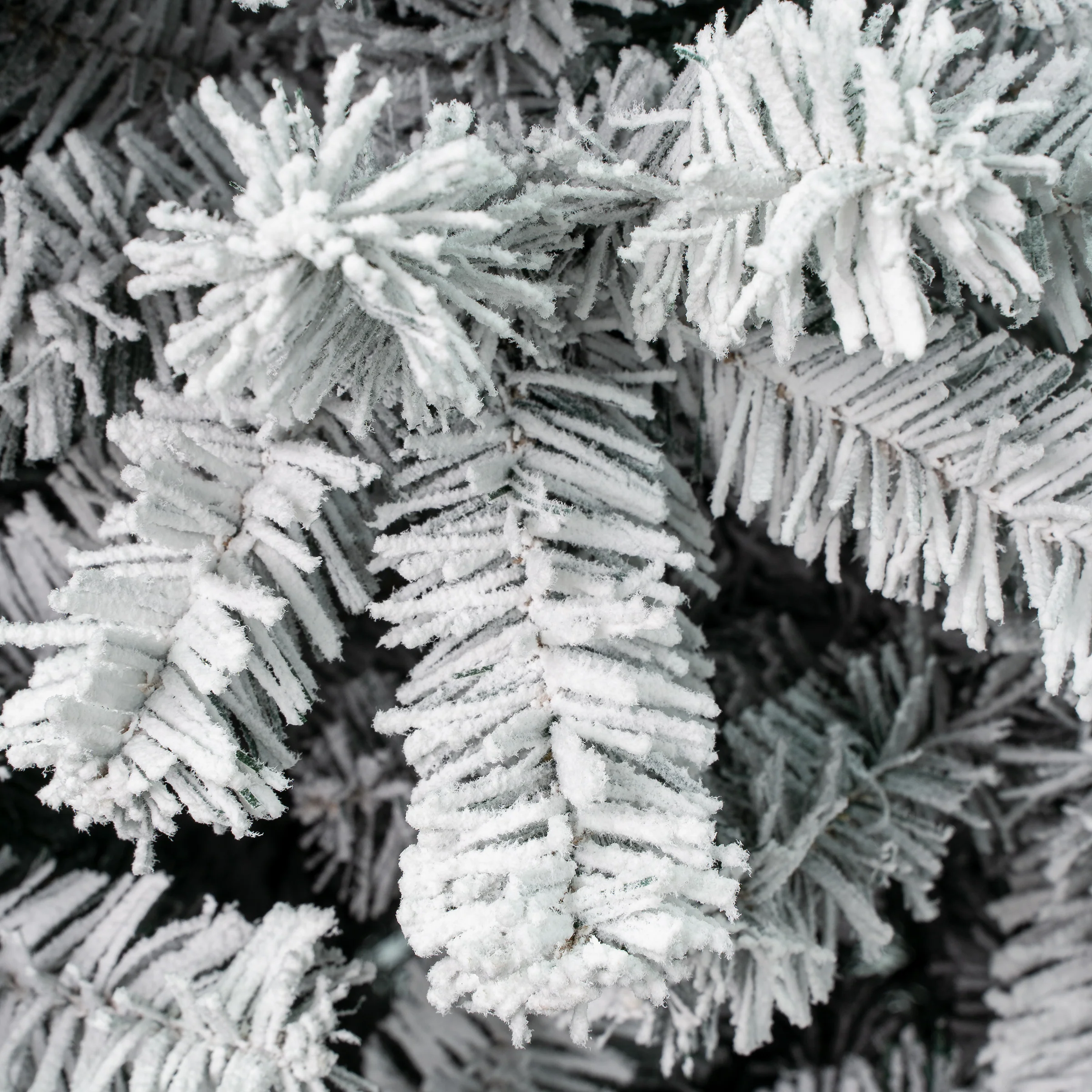 7.5 ft. Acacia Pencil Slim Flocked Tree - Image 3