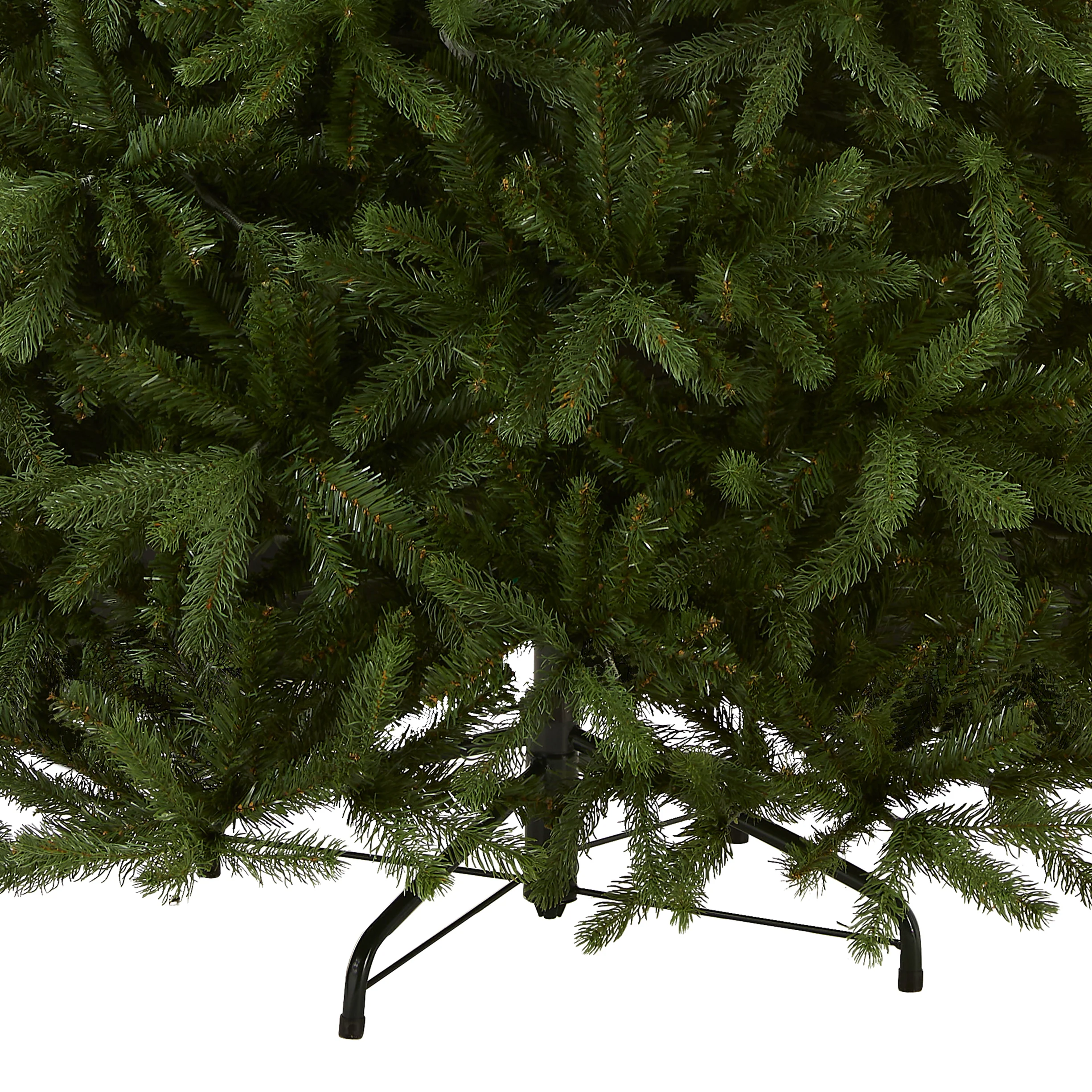 7.5 ft. Newberry Spruce Tree - Image 4