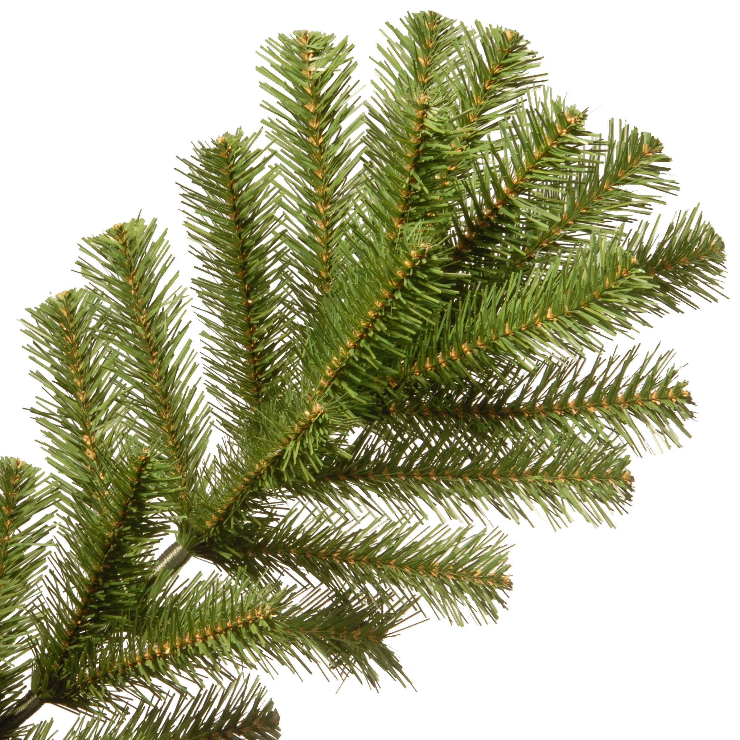 7.5 ft. North Valley Spruce Tree - Image 4