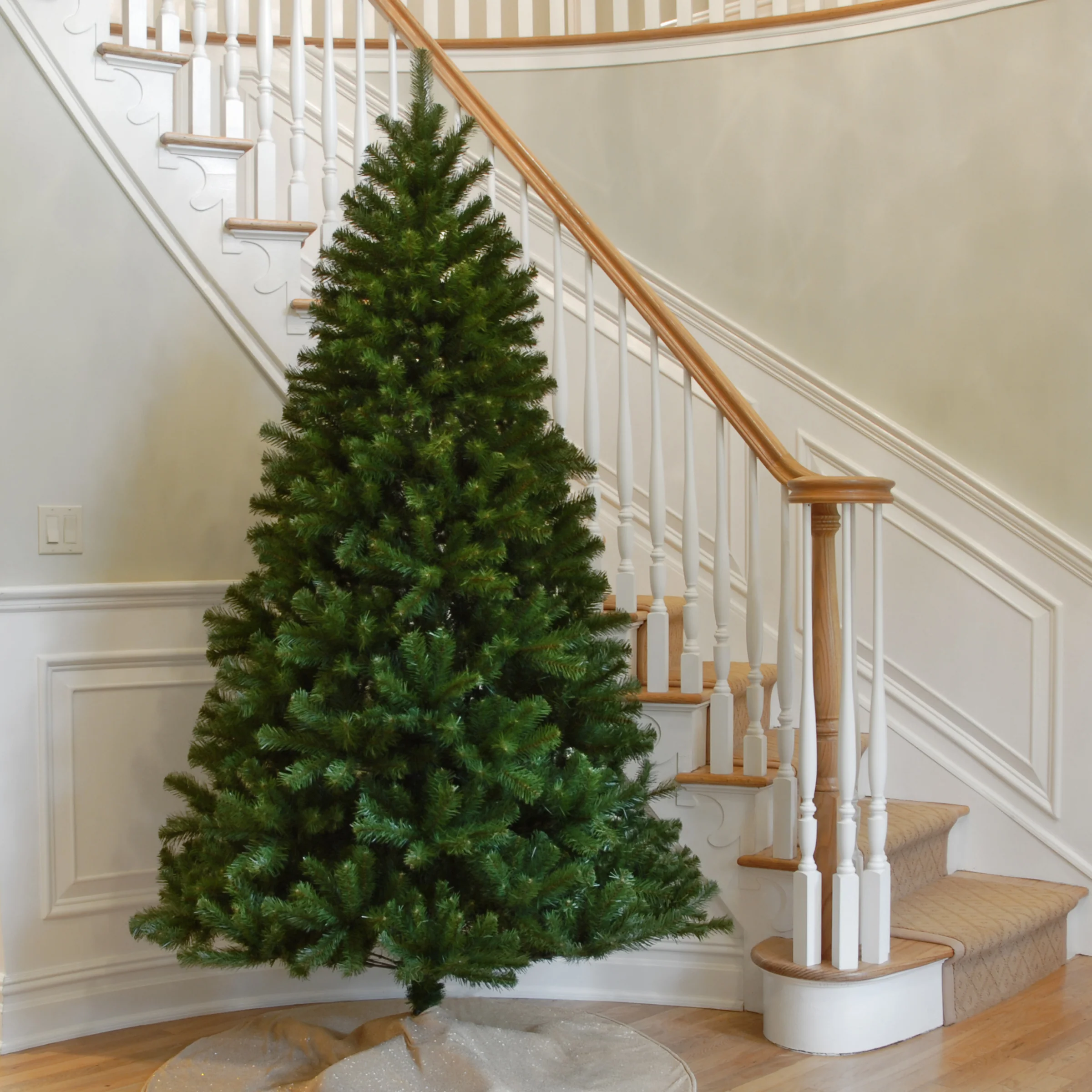 7.5 ft. North Valley Spruce Tree - Image 8