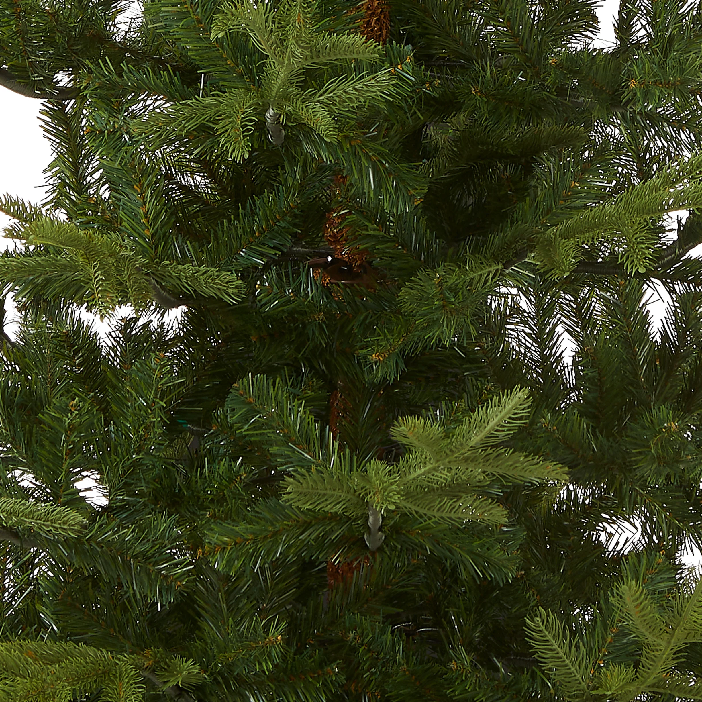 7.5 ft. Norwegian Spruce Tree - Image 7