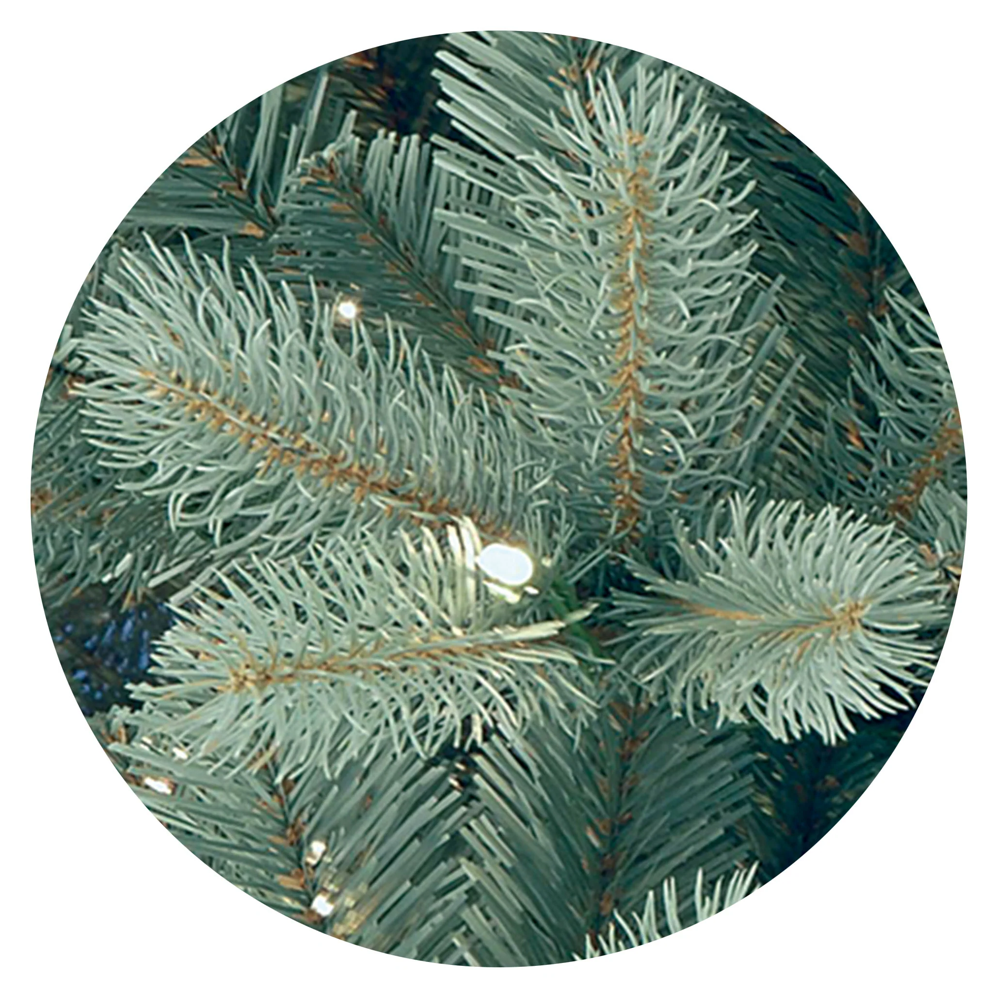 7.5 ft. Pre-Lit Downswept Douglas Blue Fir Tree with Clear Lights - Image 3