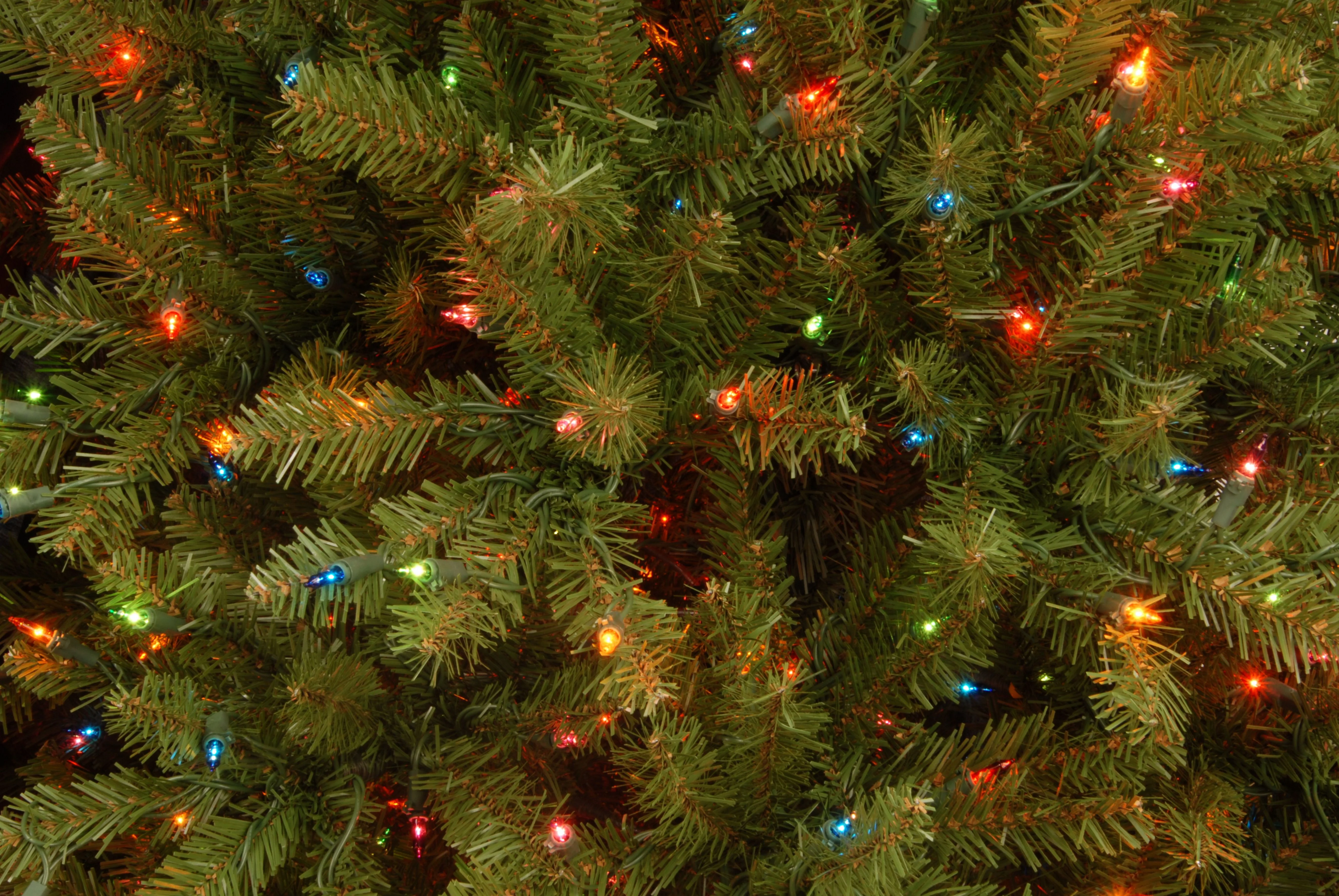 7.5 ft. Pre-Lit Dunhill Fir Tree with Multicolor Lights, Plug-In - Image 17