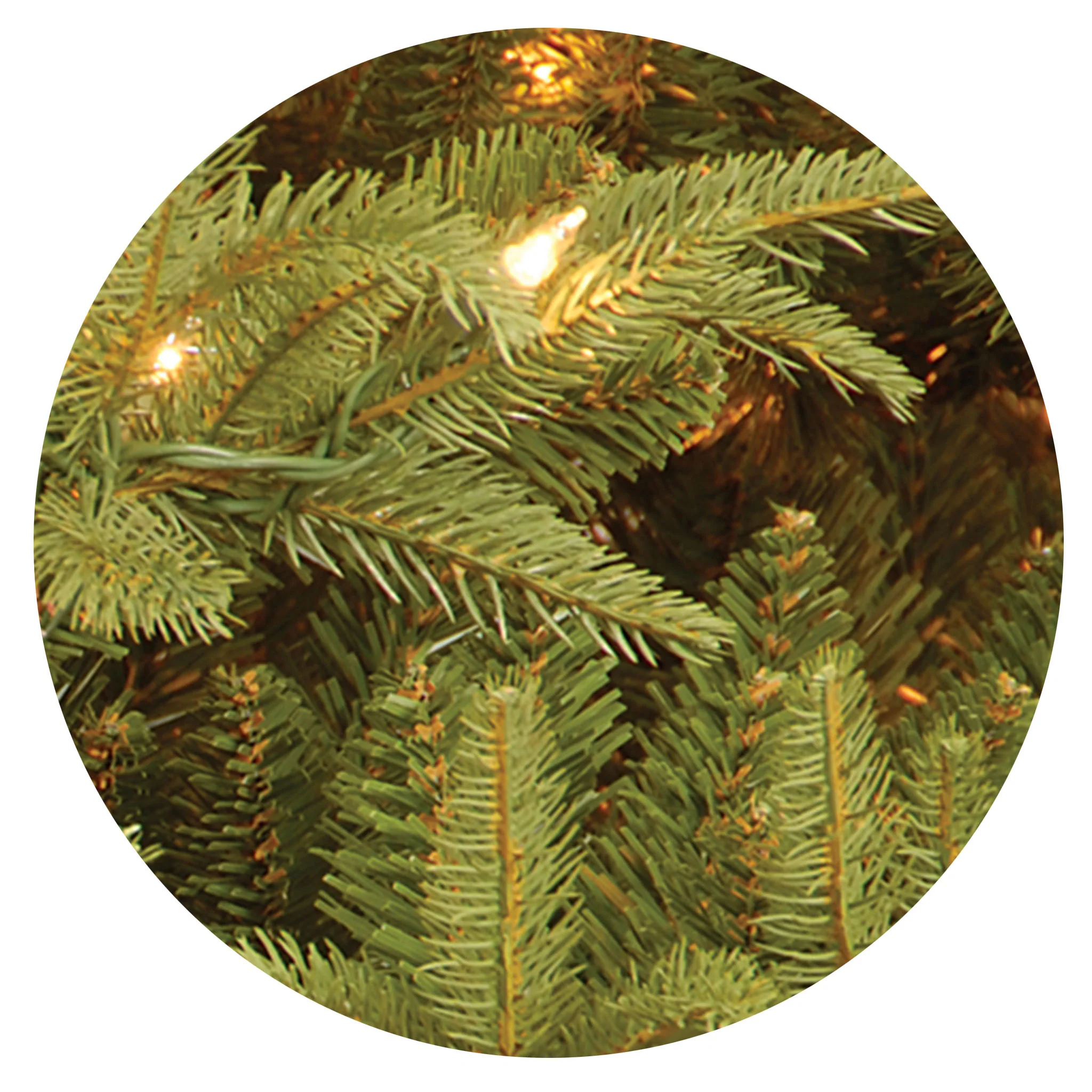 7.5 ft. Pre-Lit Fraser Grande Tree with Clear Lights, Plug-In - Image 6