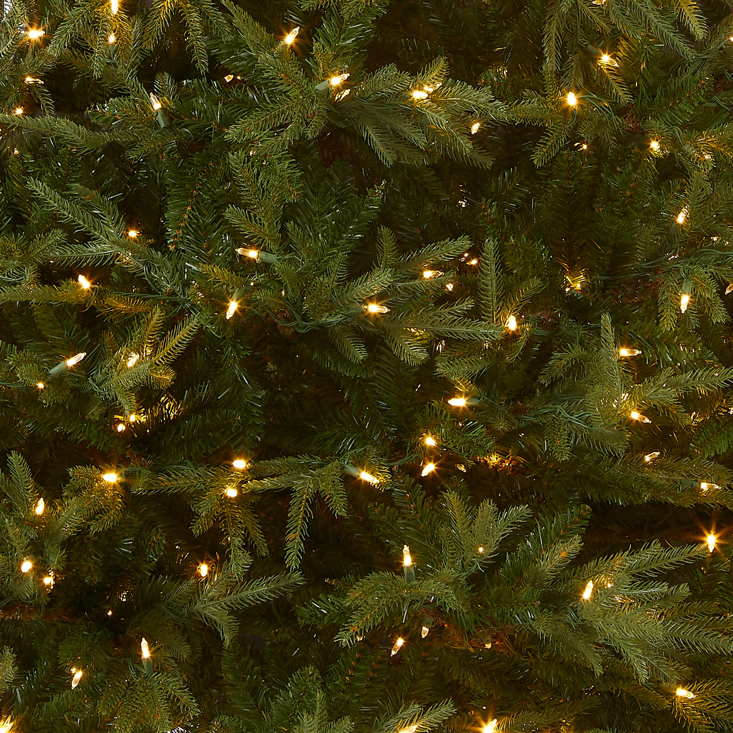 7.5 ft. Pre-Lit Fraser Grande Tree with Dual Color LED Lights, Plug-In - Image 3