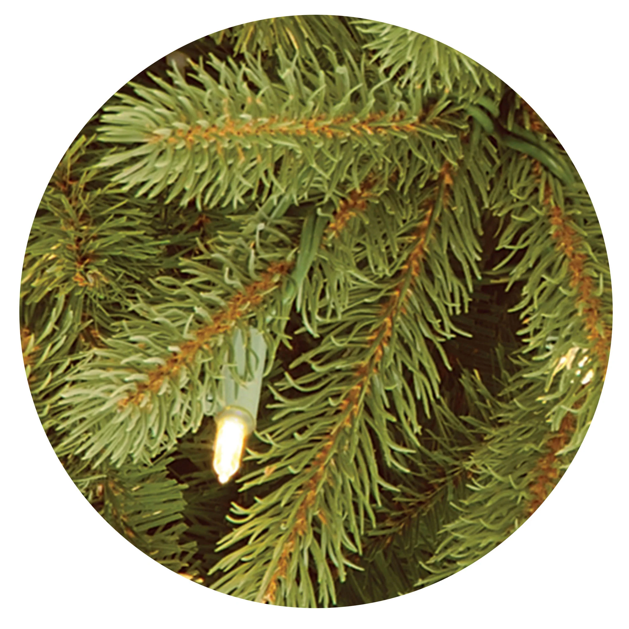7.5 ft. Pre-Lit Jersey Fraser Fir Tree with Clear Lights, Plug-In - Image 8