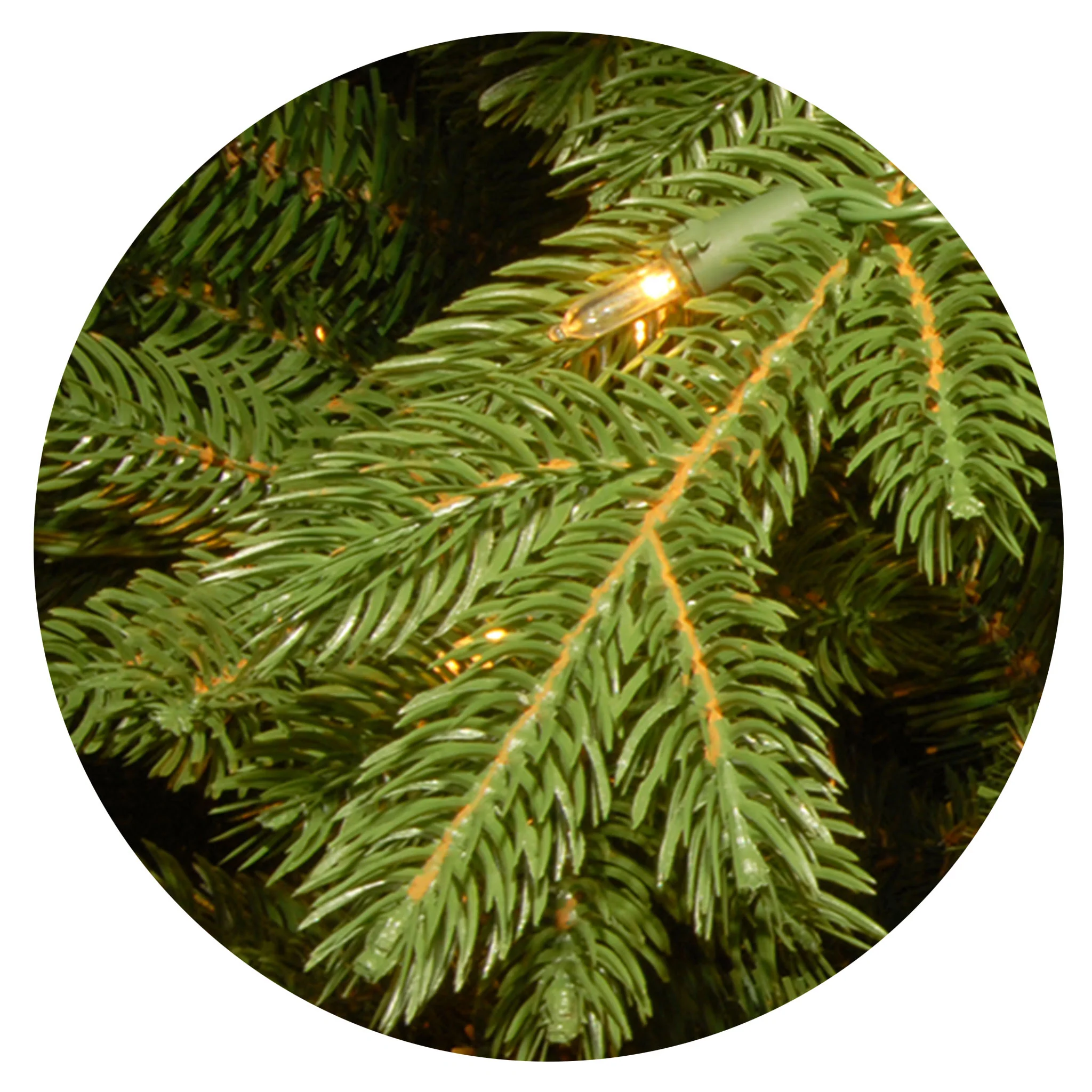 7.5 ft. Pre-Lit Princeton Fraser Fir Tree with PowerConnect and 1000 Dual Color LED Lights, Plug-In - Image 3