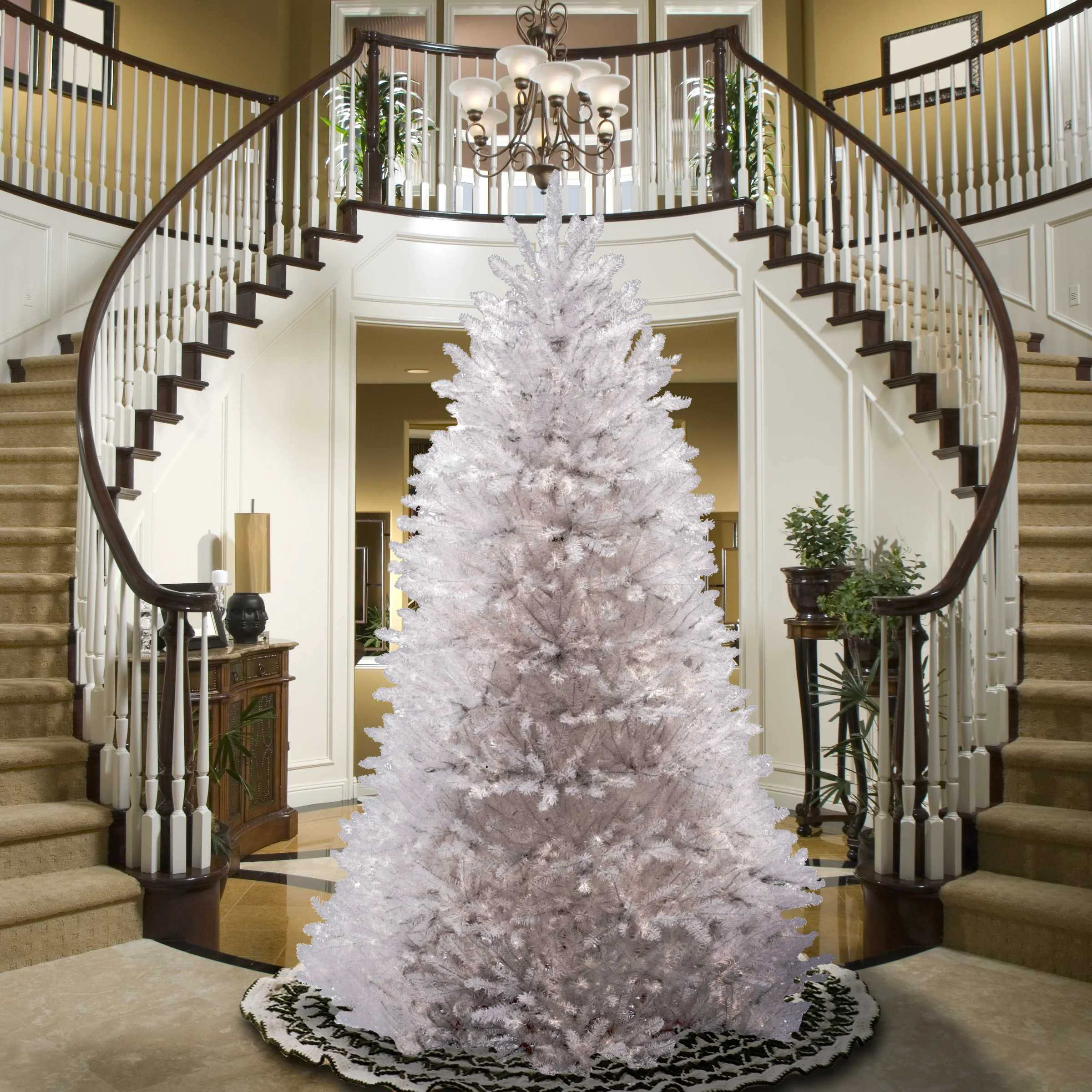 7 ft. Dunhill White Fir Tree - Image 2