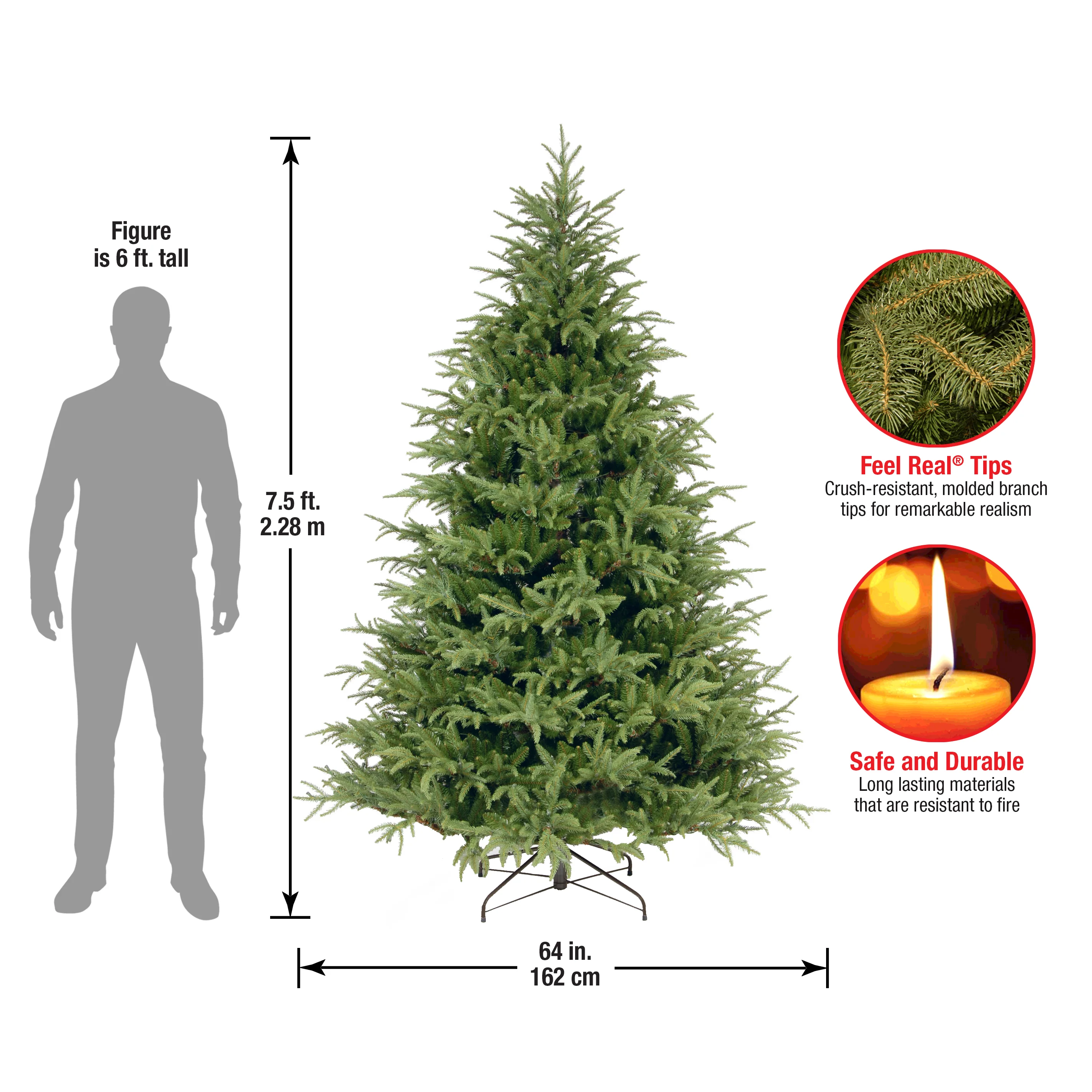 7 ft. Fraser Grande Fir Tree - Image 5