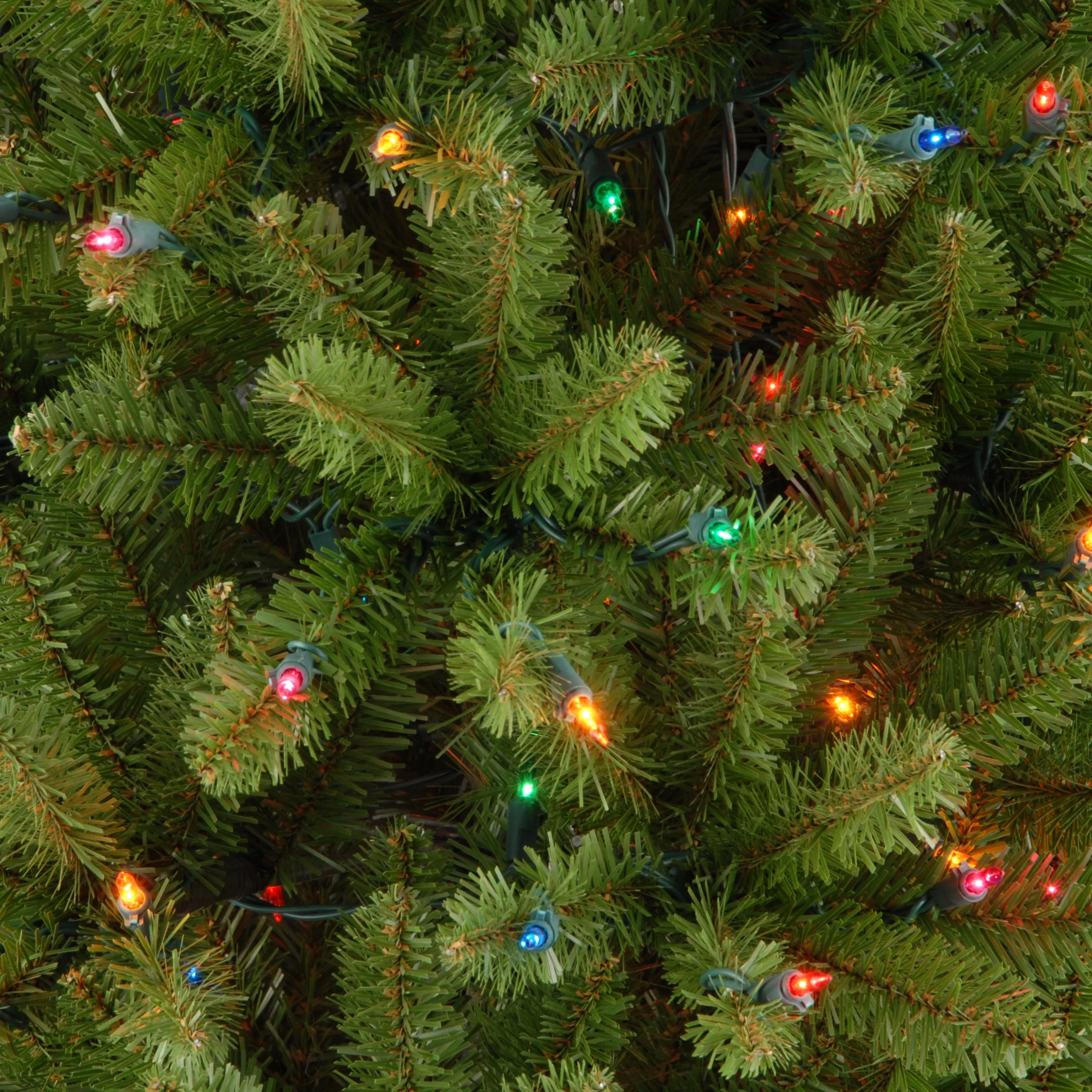 7 ft. Pre-Lit Kingswood Fir Pencil Tree with Multicolor Lights, Plug-In - Image 3
