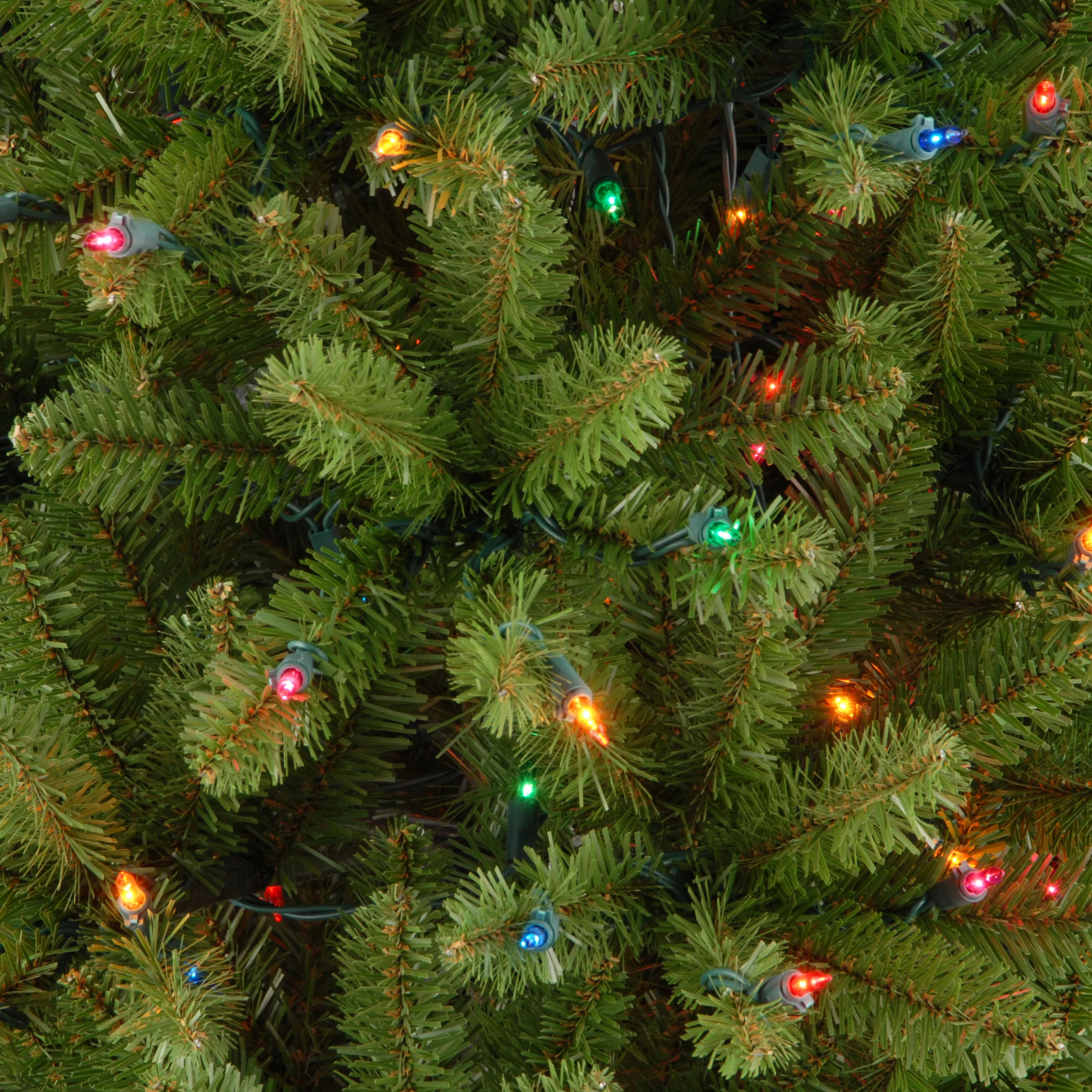 7 ft. Pre-Lit Kingswood Fir Pencil Tree with Multicolor Lights, Plug-In - Image 7